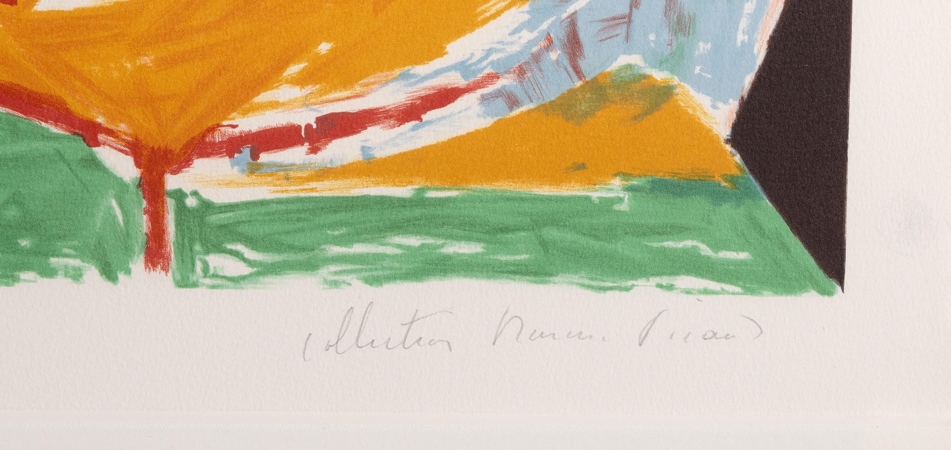 Femme Accoudée au Drapeau Bleu et Rouge, Litografia incorniciata di Pablo Picasso (after) Pablo Picasso in vendita 2