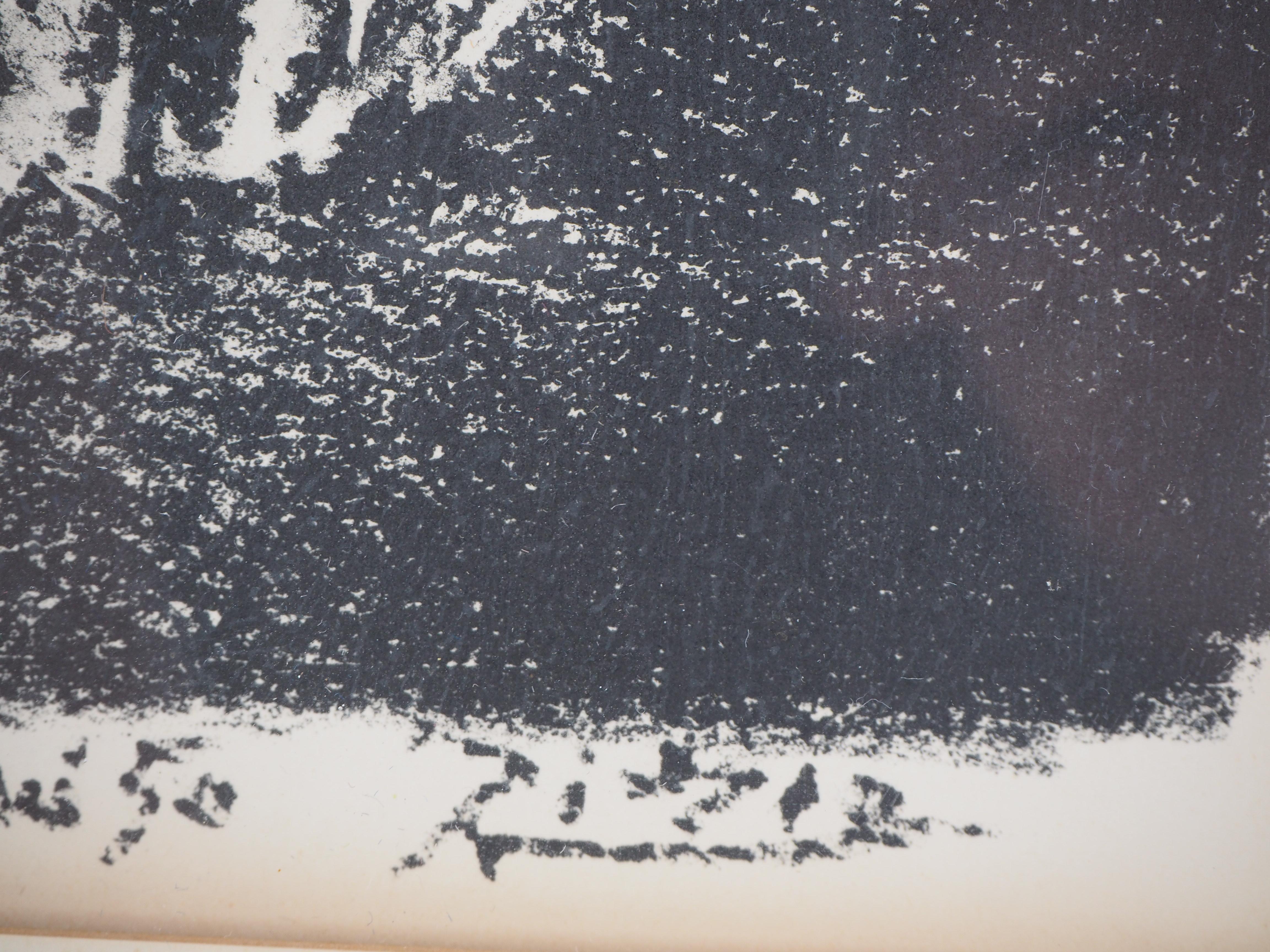 Flowers in a vase - Original lithograph (Mourlot #189) - Print by Pablo Picasso