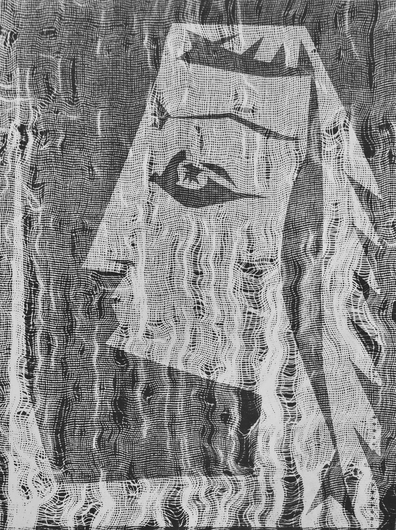 Jacqueline à l'étamine (Cramer 115), Diurnes