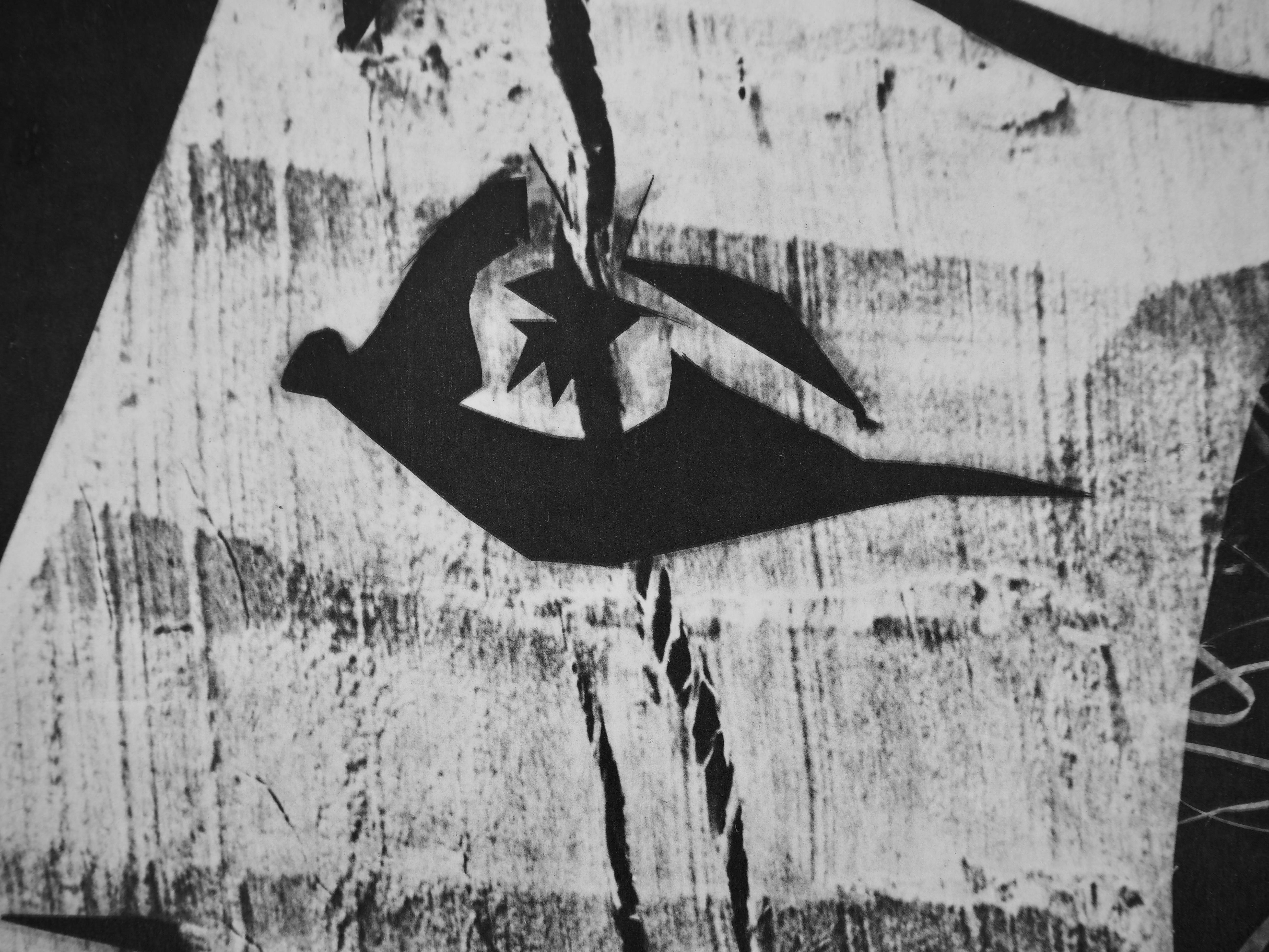 Jacqueline au regard d'oiseau (Cramer 115), Diurnes - Print by Pablo Picasso