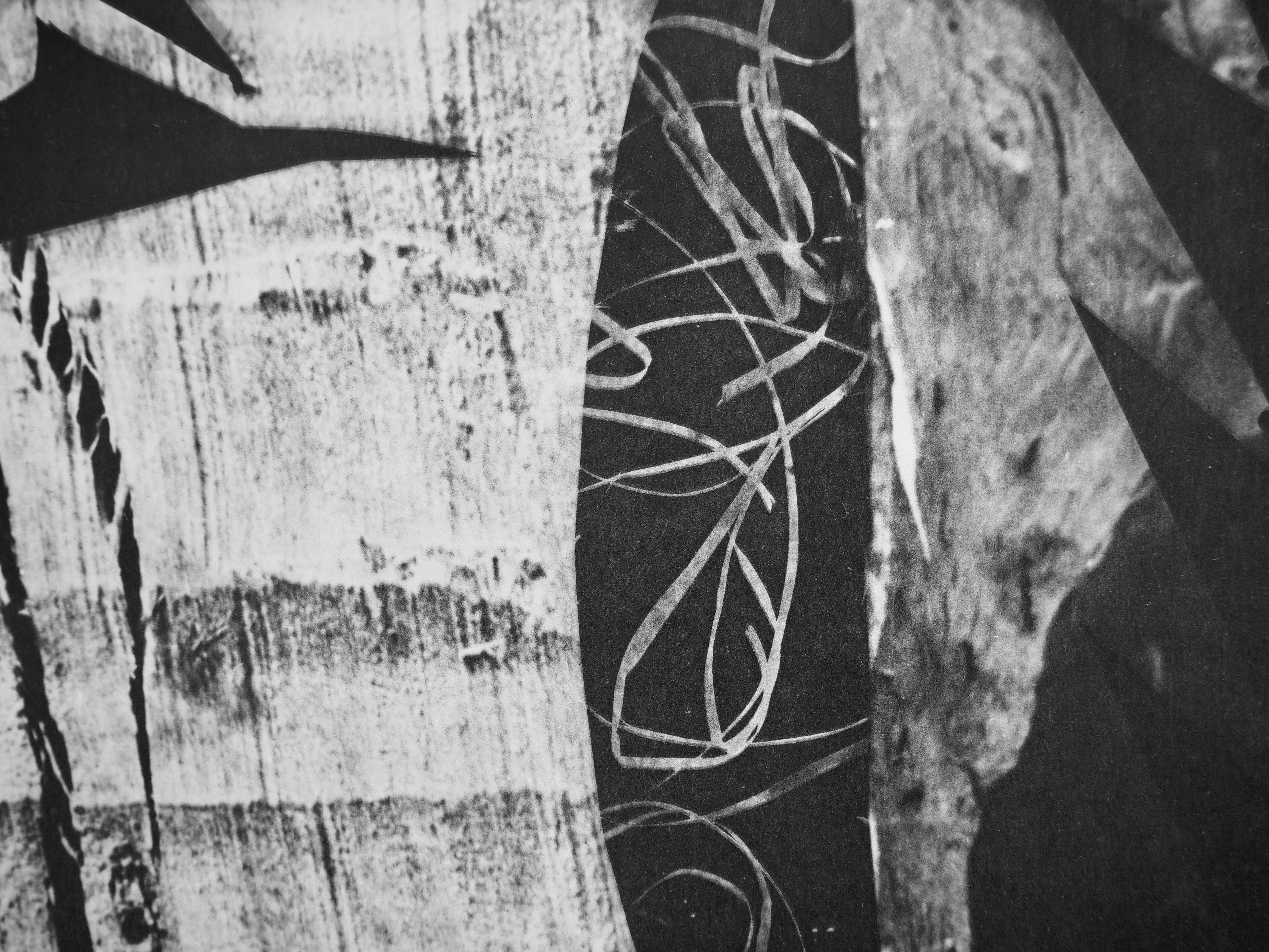Jacqueline au regard d'oiseau (Cramer 115), Diurnes - Cubist Print by Pablo Picasso