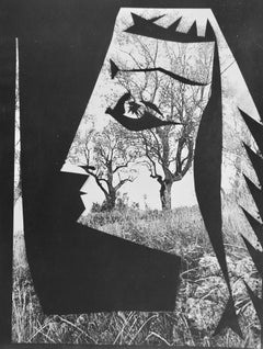 Jacqueline aux arbres (Cramer 115), Diurnes