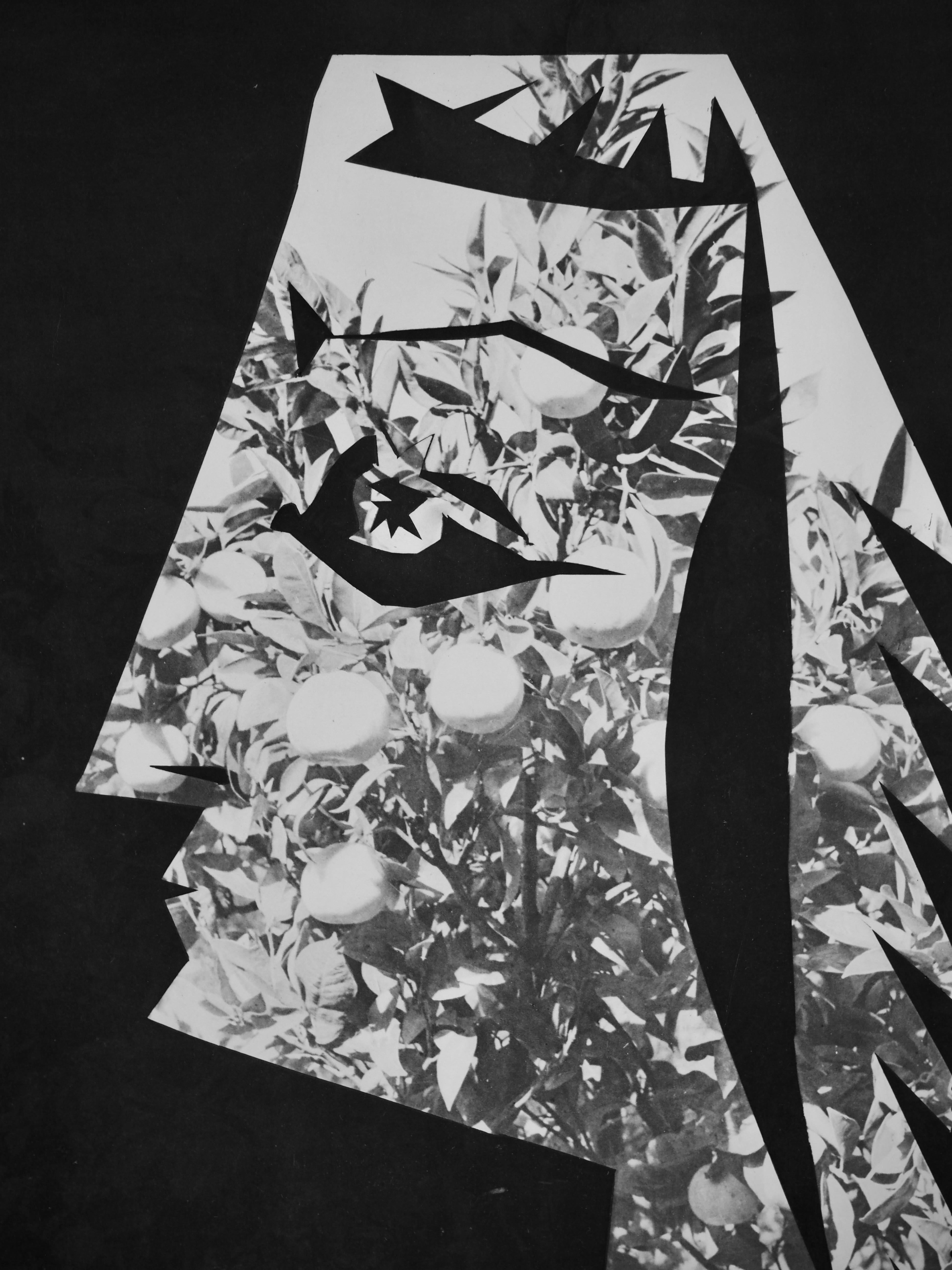 Jacqueline aux fruits (Cramer 115), Diurnes - Print by Pablo Picasso