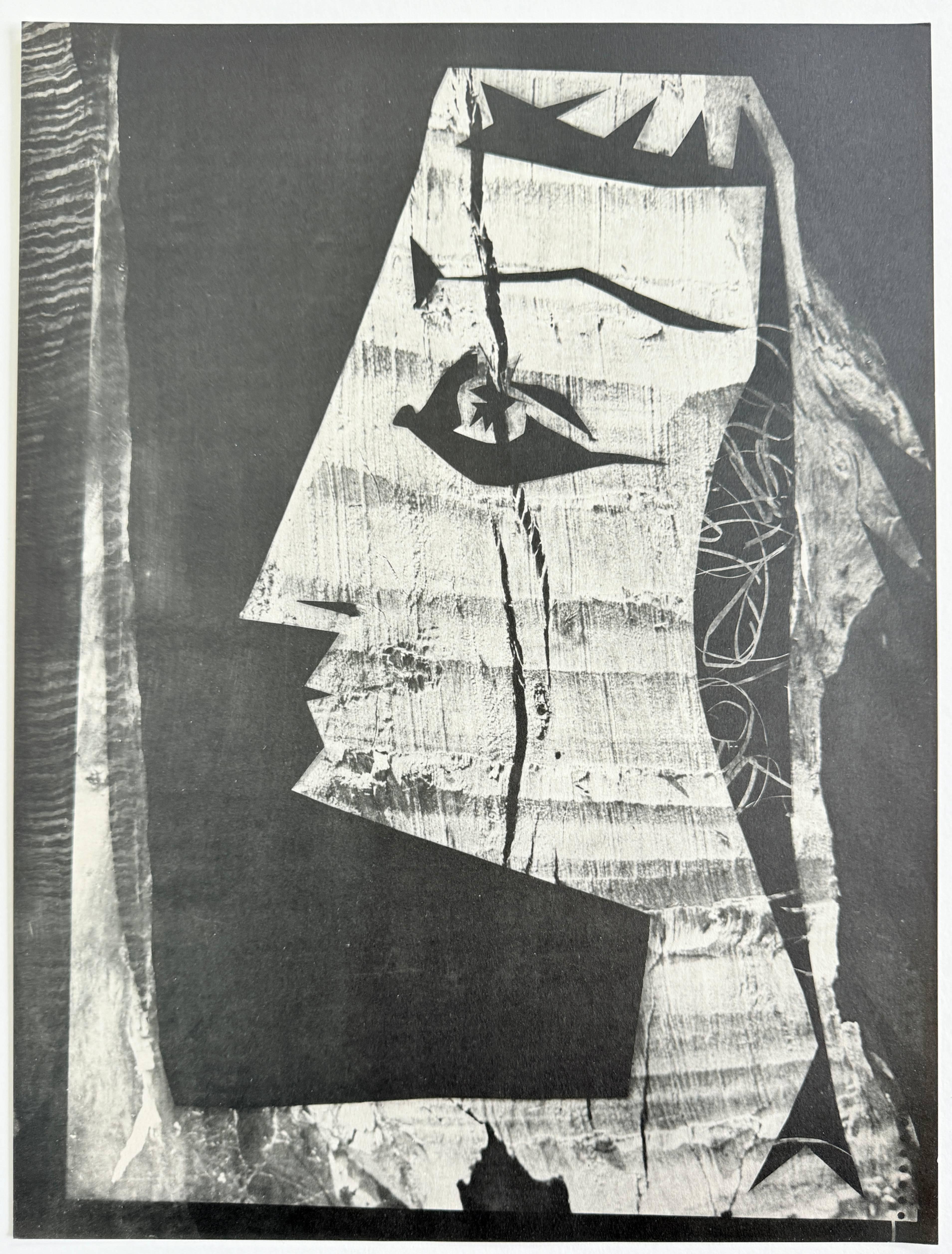 Jacqueline with a Bird’s Gaze For Sale 1