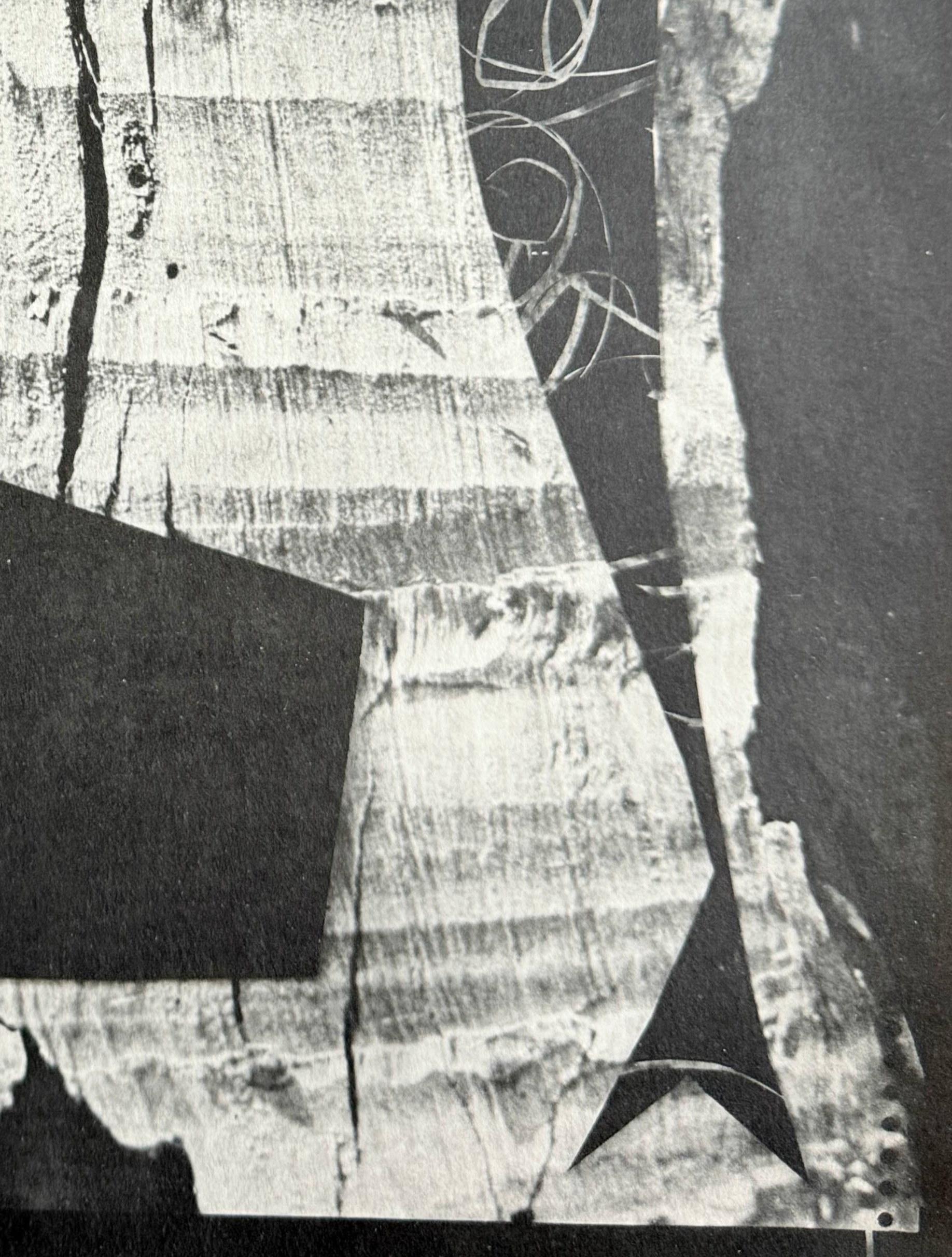 Jacqueline with a Bird’s Gaze For Sale 2
