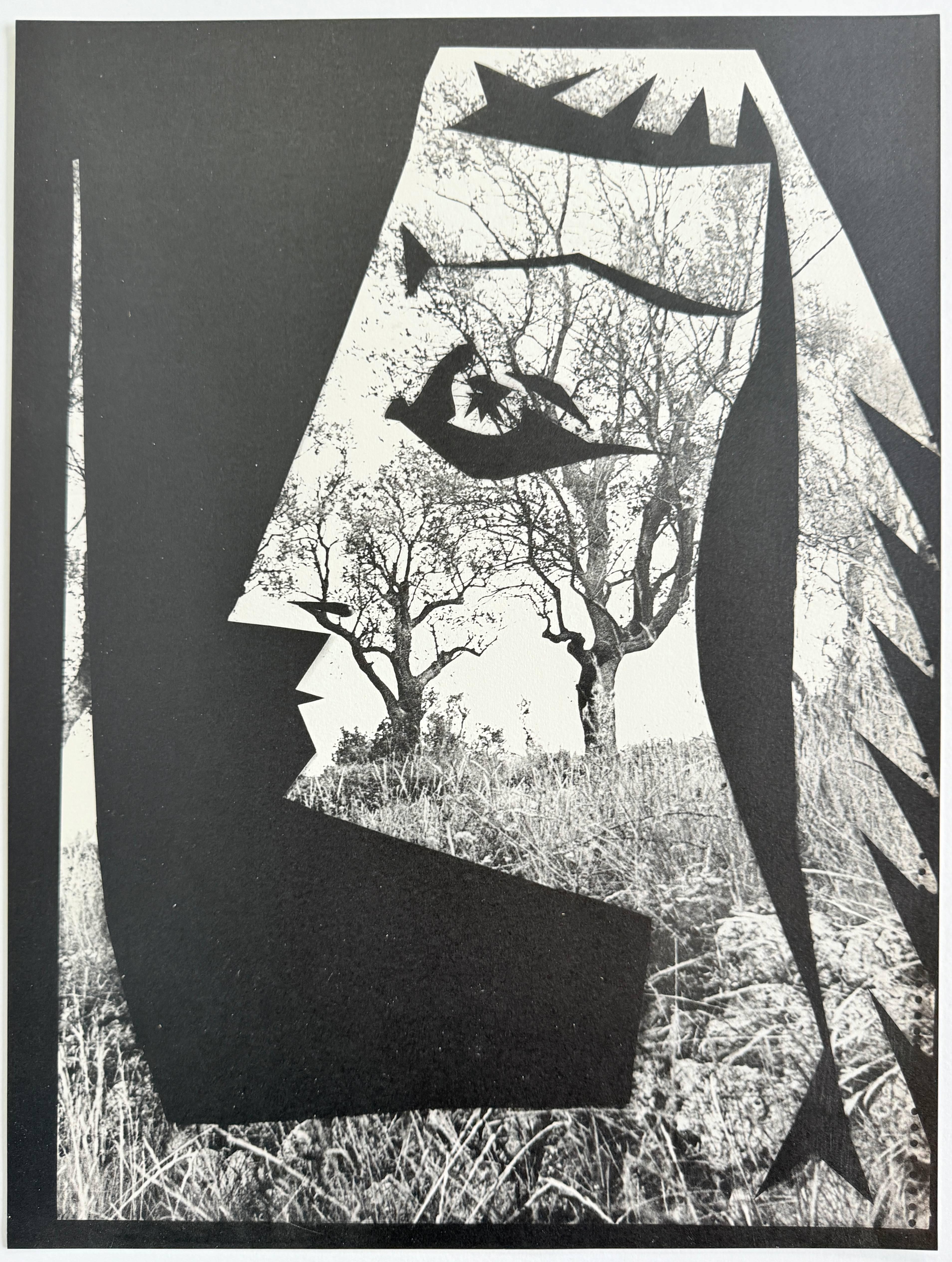 Jacqueline with Trees For Sale 1