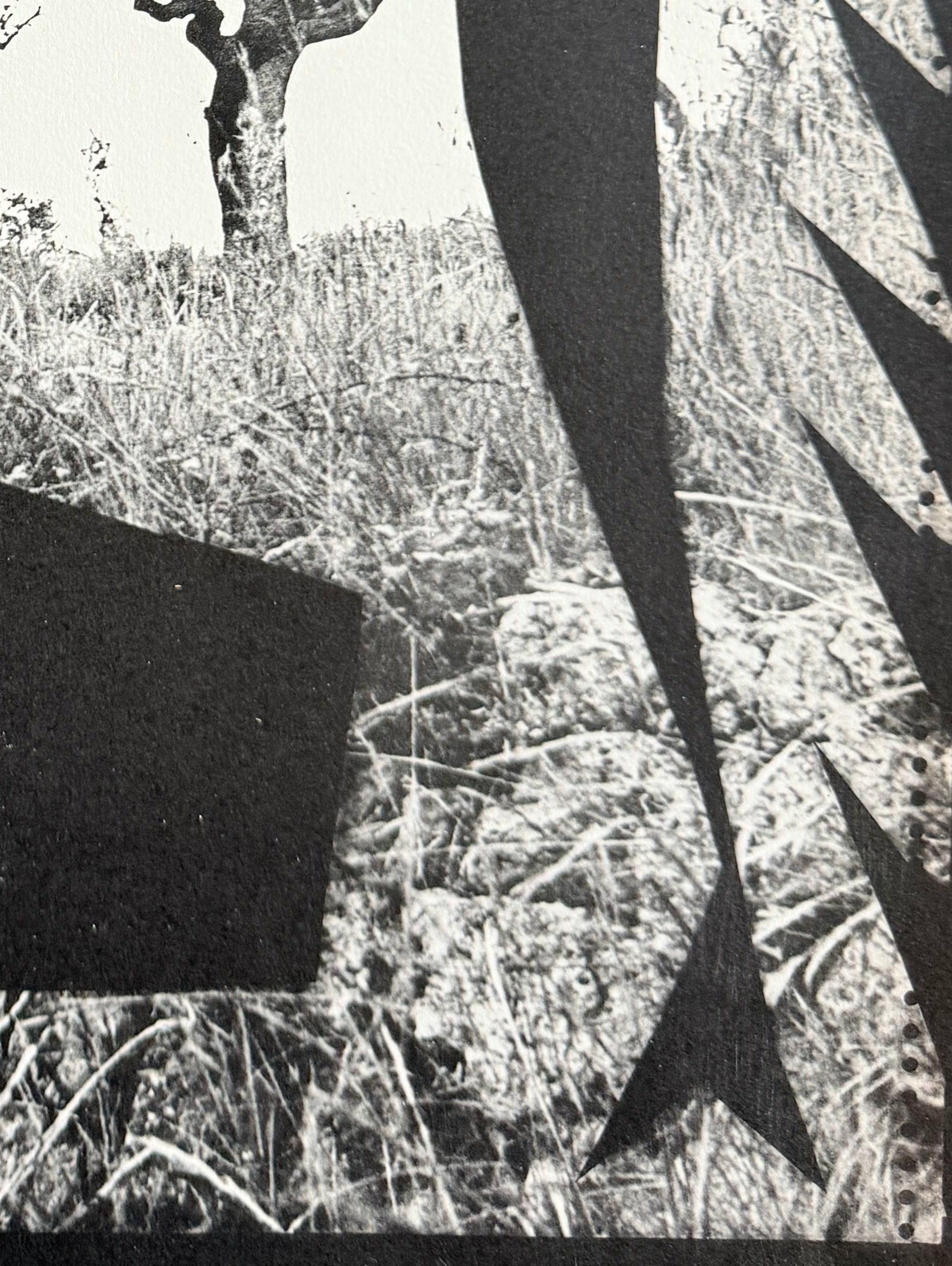 Jacqueline with Trees For Sale 2
