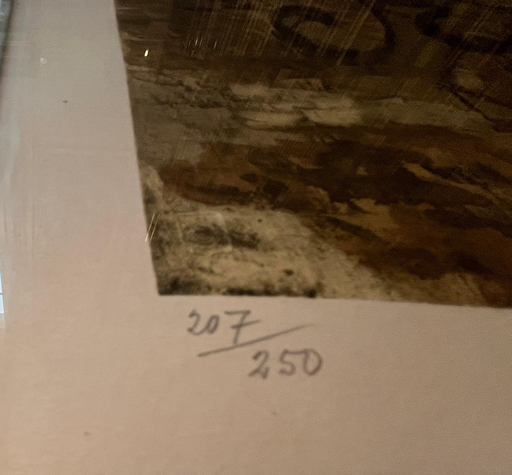 Colotipia en color sobre papel Arches, 1965.  Firmado por Picasso y numerado 207/250 a lápiz, en el margen inferior.  Publicado por Guy Spitzer, París, con el sello ciego.  

La dimensión total enmarcada es de 39 x 34 pulgadas. 

Fragmentado en