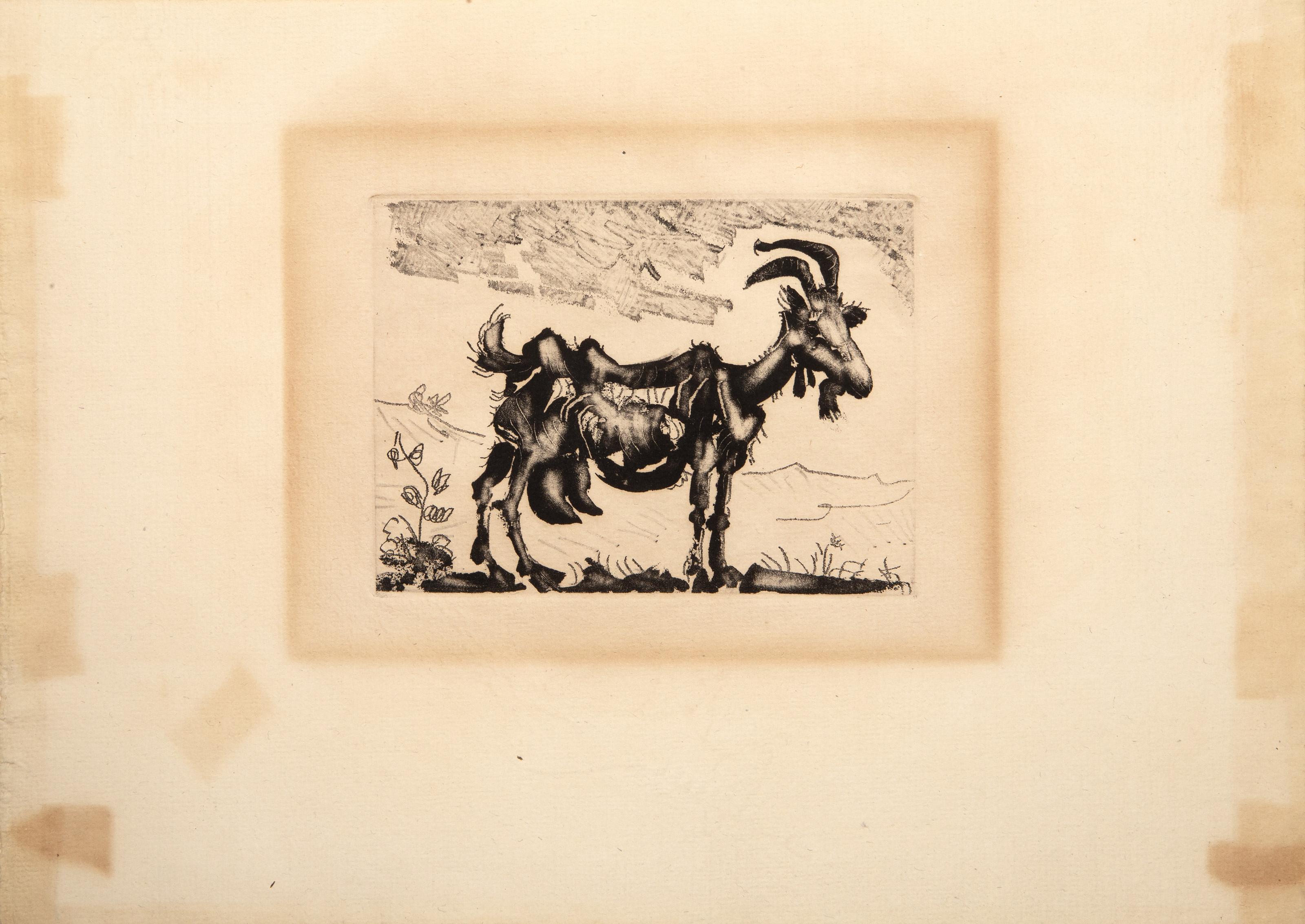 picasso goat painting