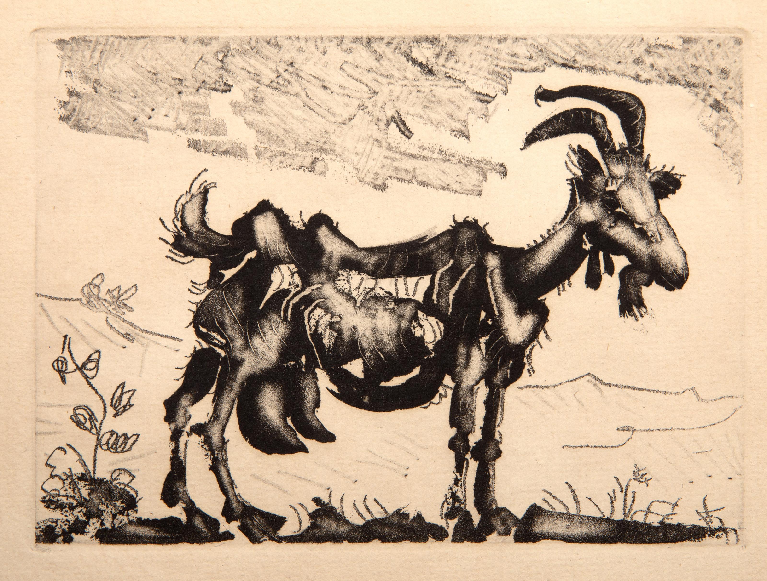  Pablo Picasso, Spanish (1881 - 1973) - La Chevre, Year: 1952, Medium: Aquatint on laid paper, Image Size: 3.75 x 5 inches, Size: 8.5 x 12 in. (21.59 x 30.48 cm), Frame Size: 12 x 13.5 inches, Printer: Johann Veldener, Utrecht (watermark),