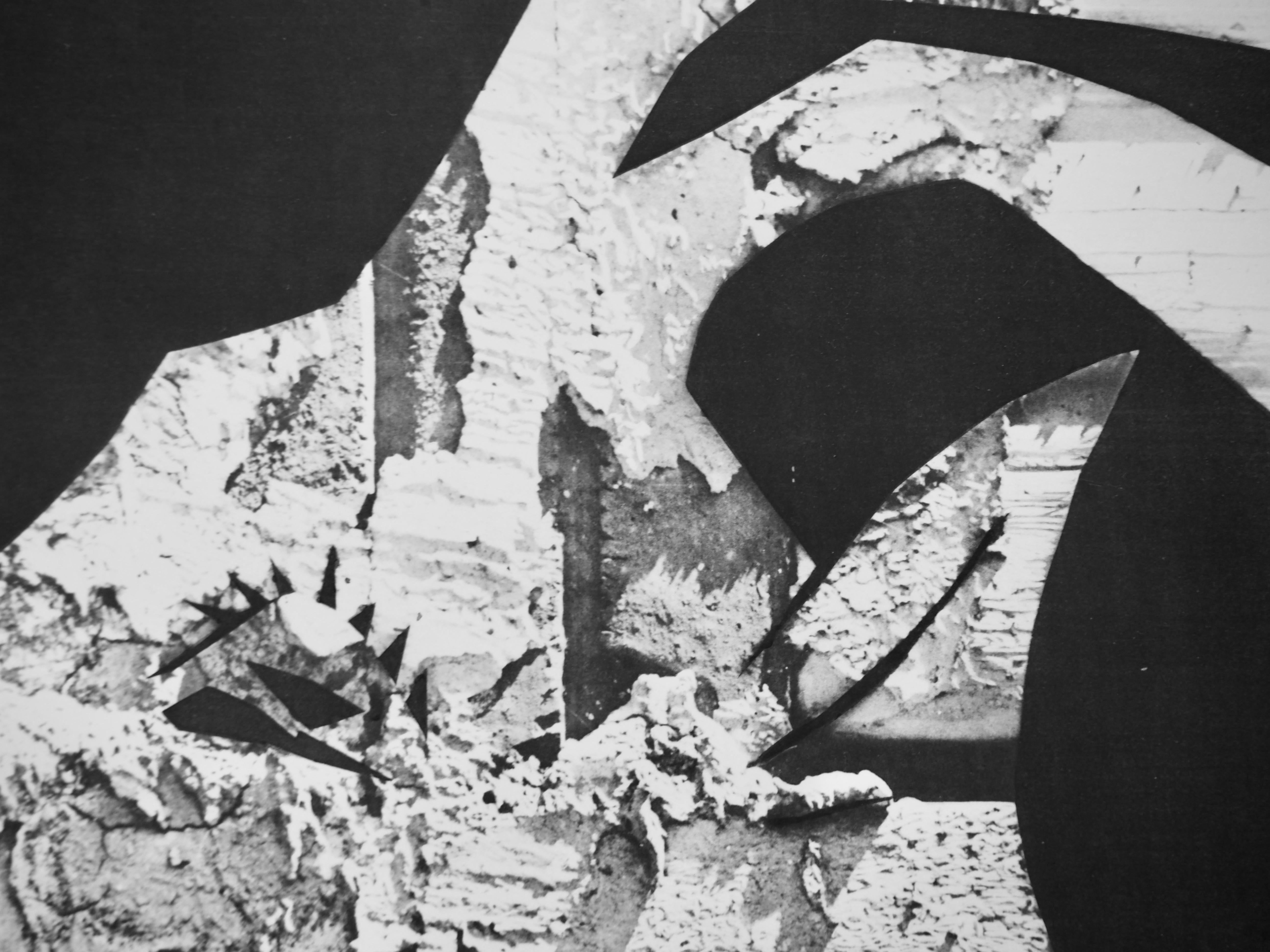 La chèvre aux gravois (Cramer 115), Diurnes - Cubist Print by Pablo Picasso