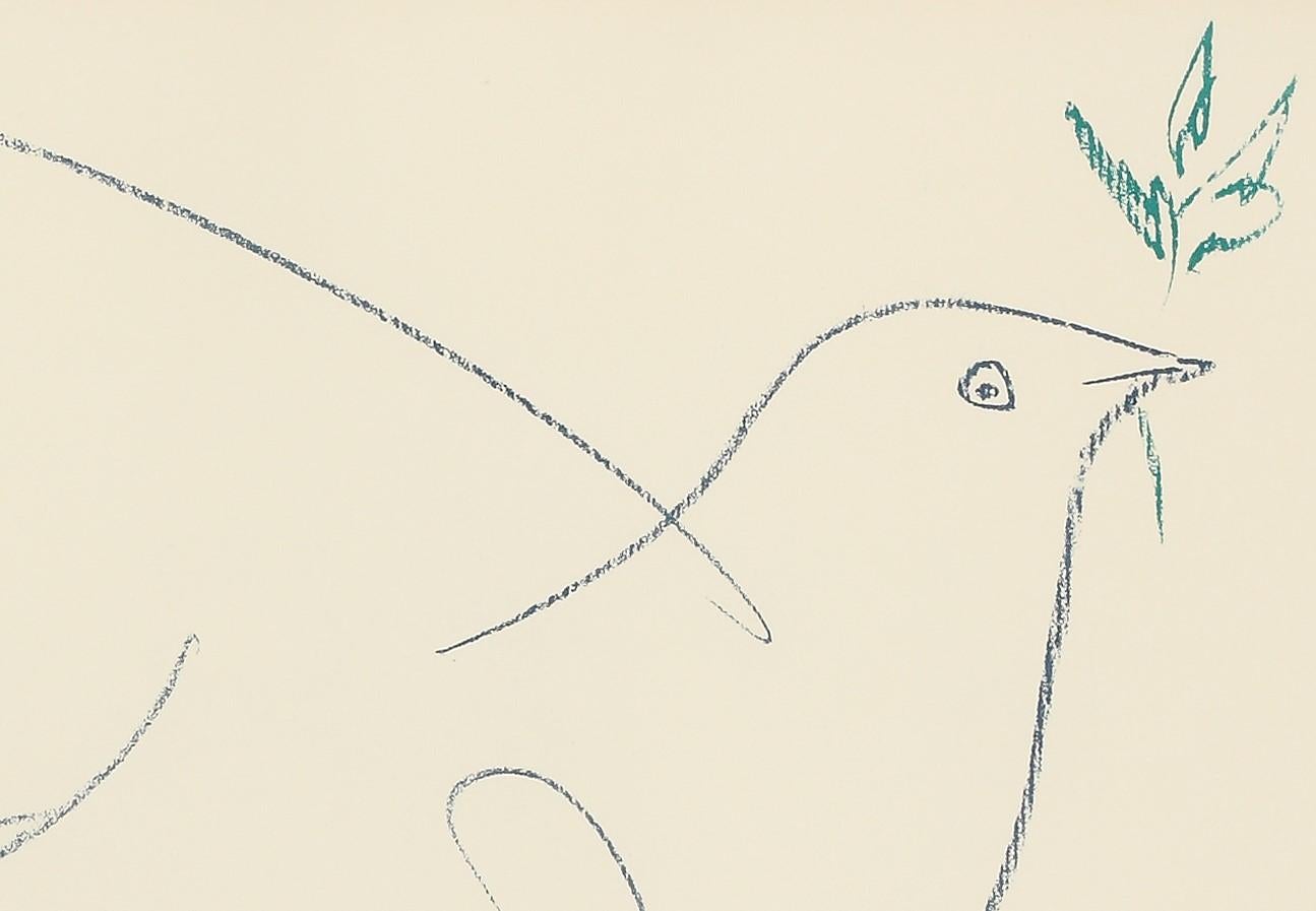 colombe picasso