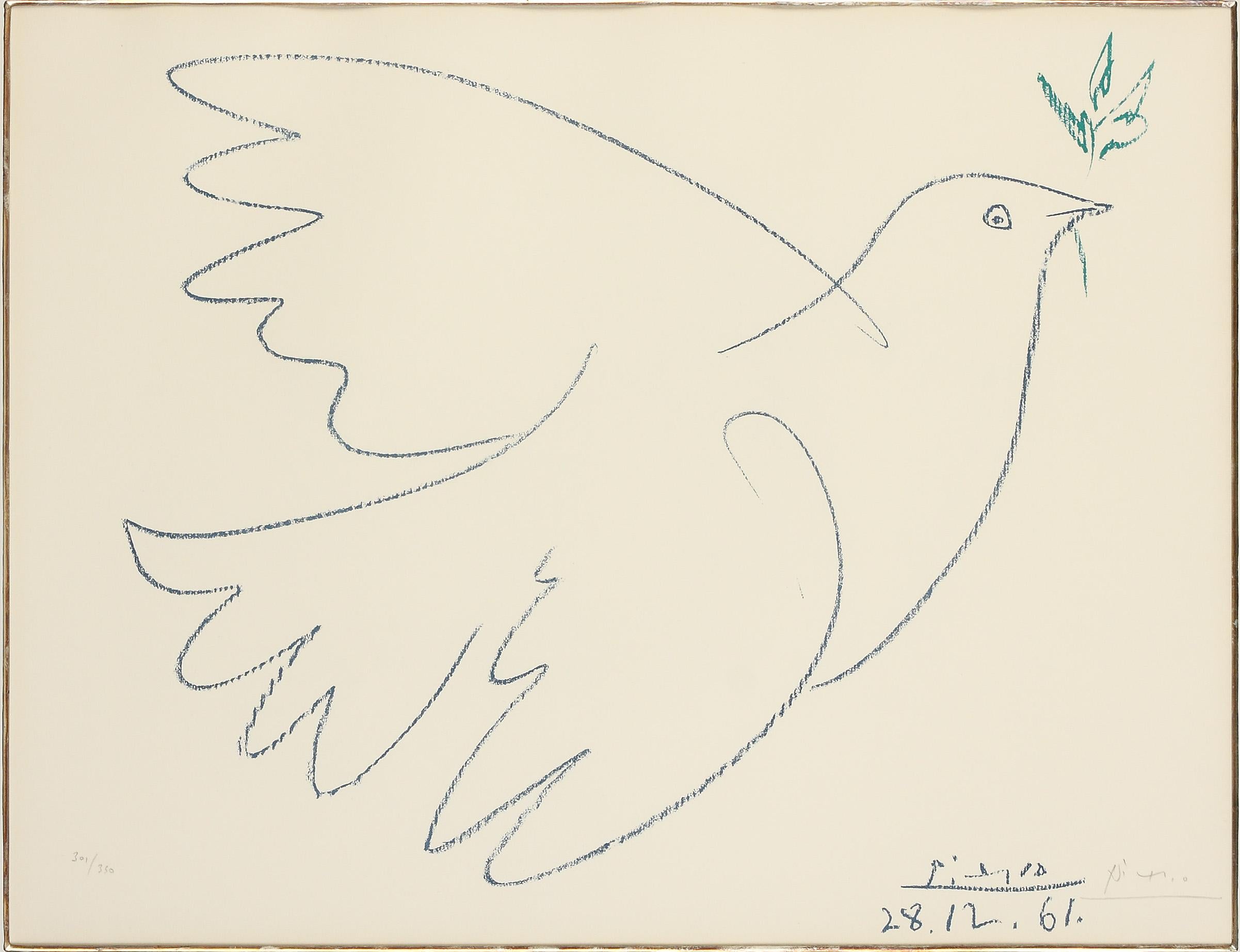 picasso bird