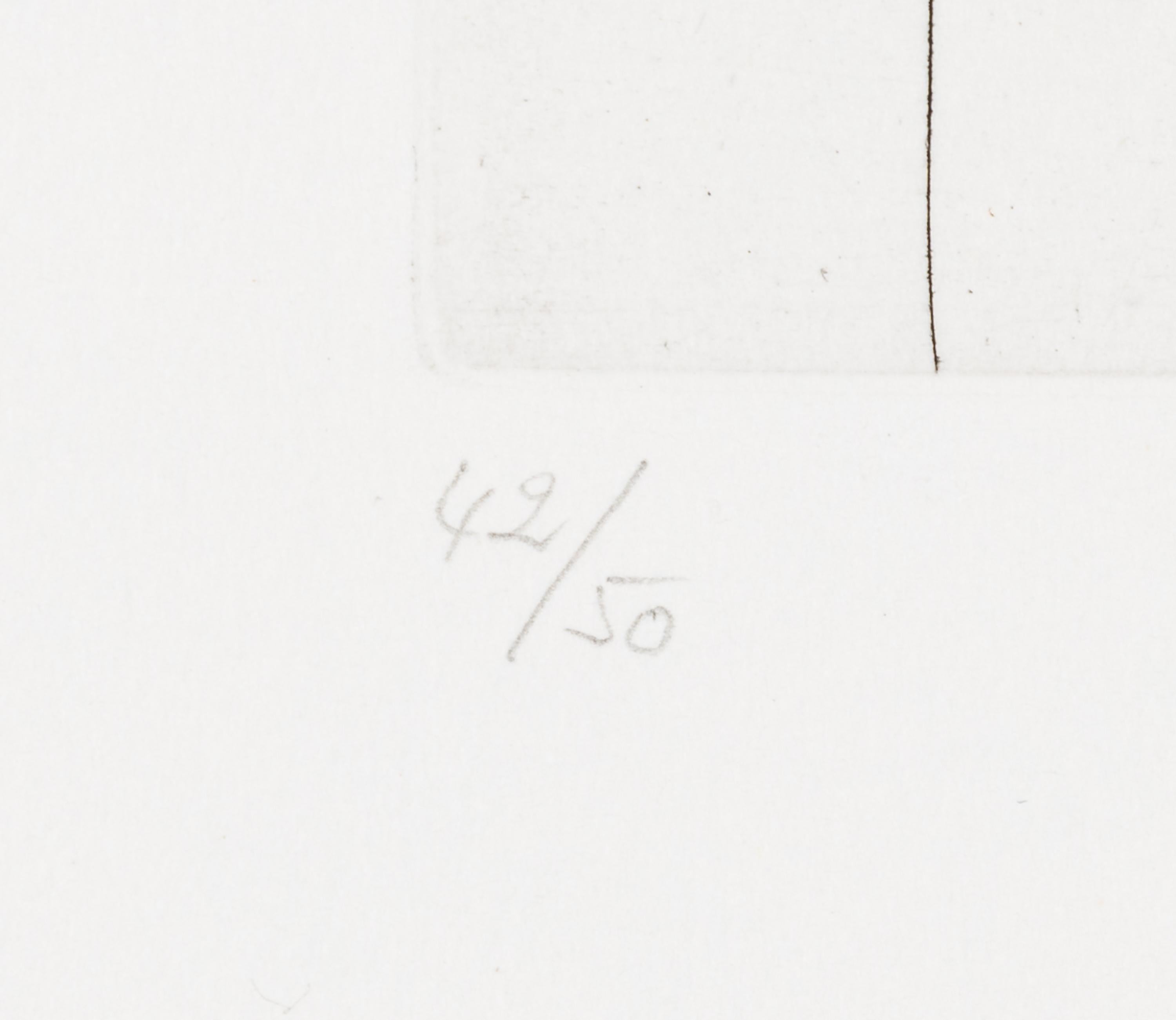 - firmado en la parte inferior derecha
- fechado en la placa al dorso: 17.5.71
- numerado en la parte inferior izquierda: 42/50
- placa 129 de la Suite 156
- cat. raisonné Bloch 198
- cat. raisonné Baer 1994
- publicado por la Galerie Louise Leiris,
