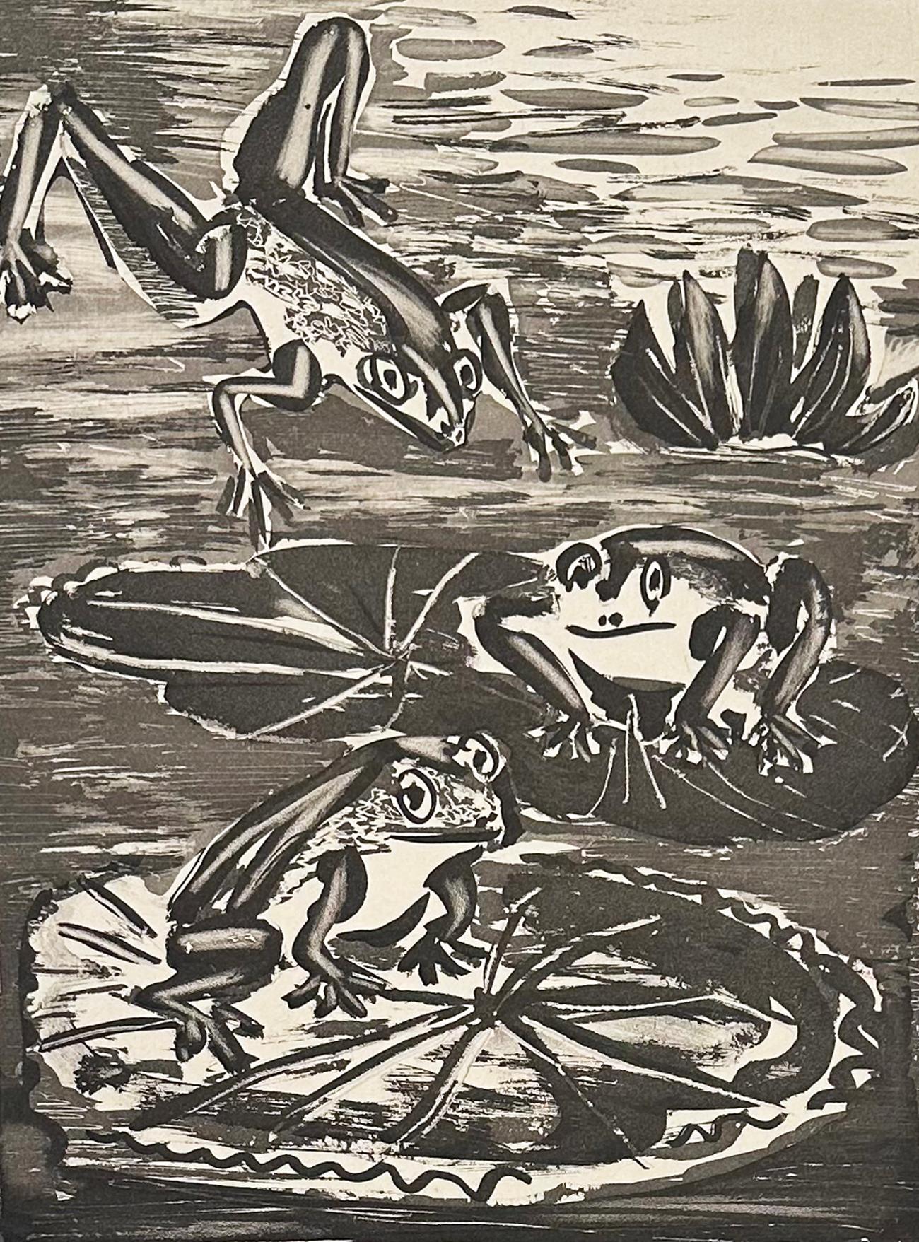 La Grenouille (La rana), da L'Histoire Naturelle di Buffon