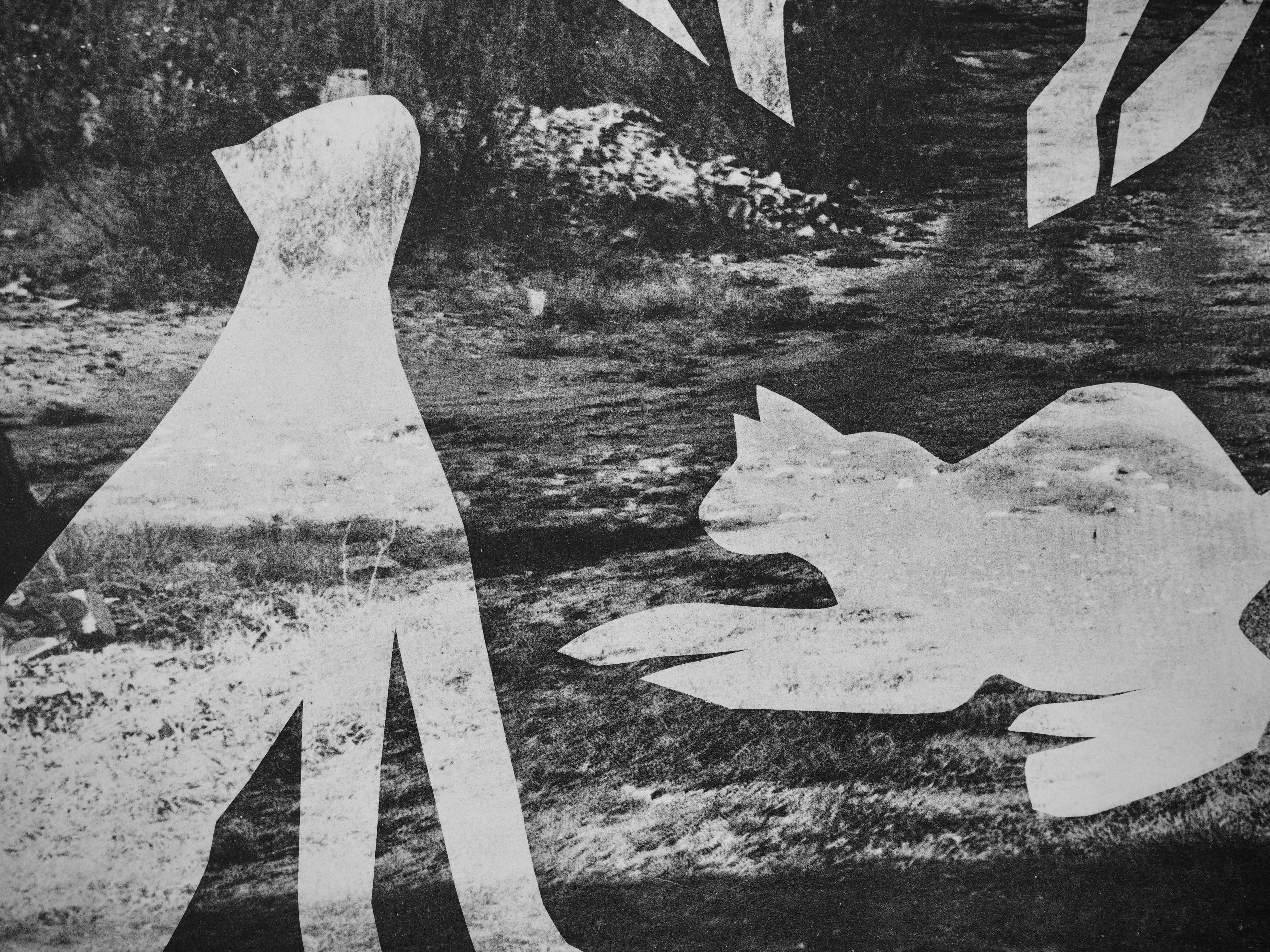 L'homme aux chats II (Cramer 115), Diurnes - Black Abstract Print by Pablo Picasso