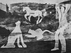 L'homme aux chats II (Cramer 115), Diurnes