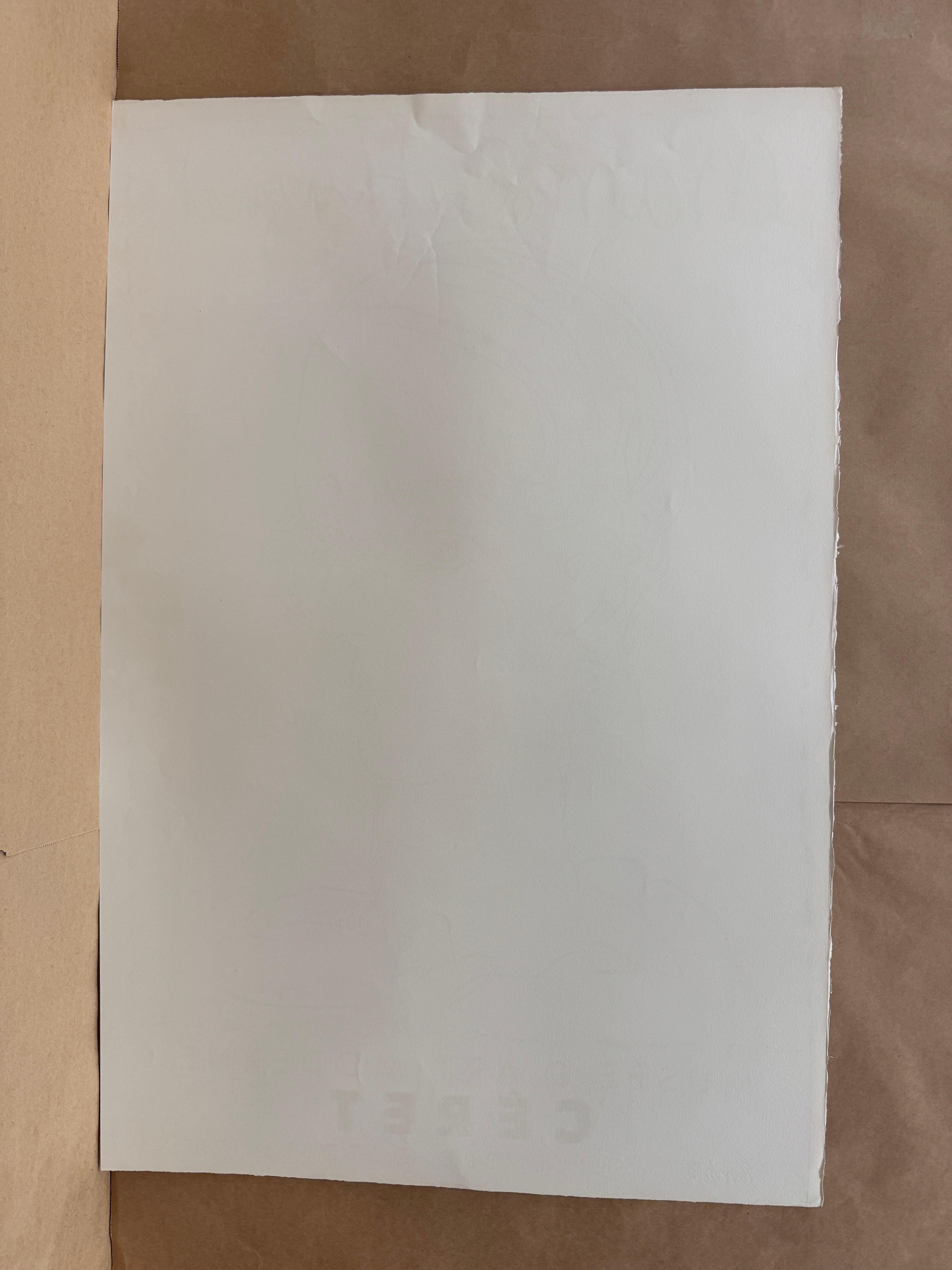 Manolo Huguet - Museo de Céret, Cartel de Pablo Picasso, 1957 en venta 4