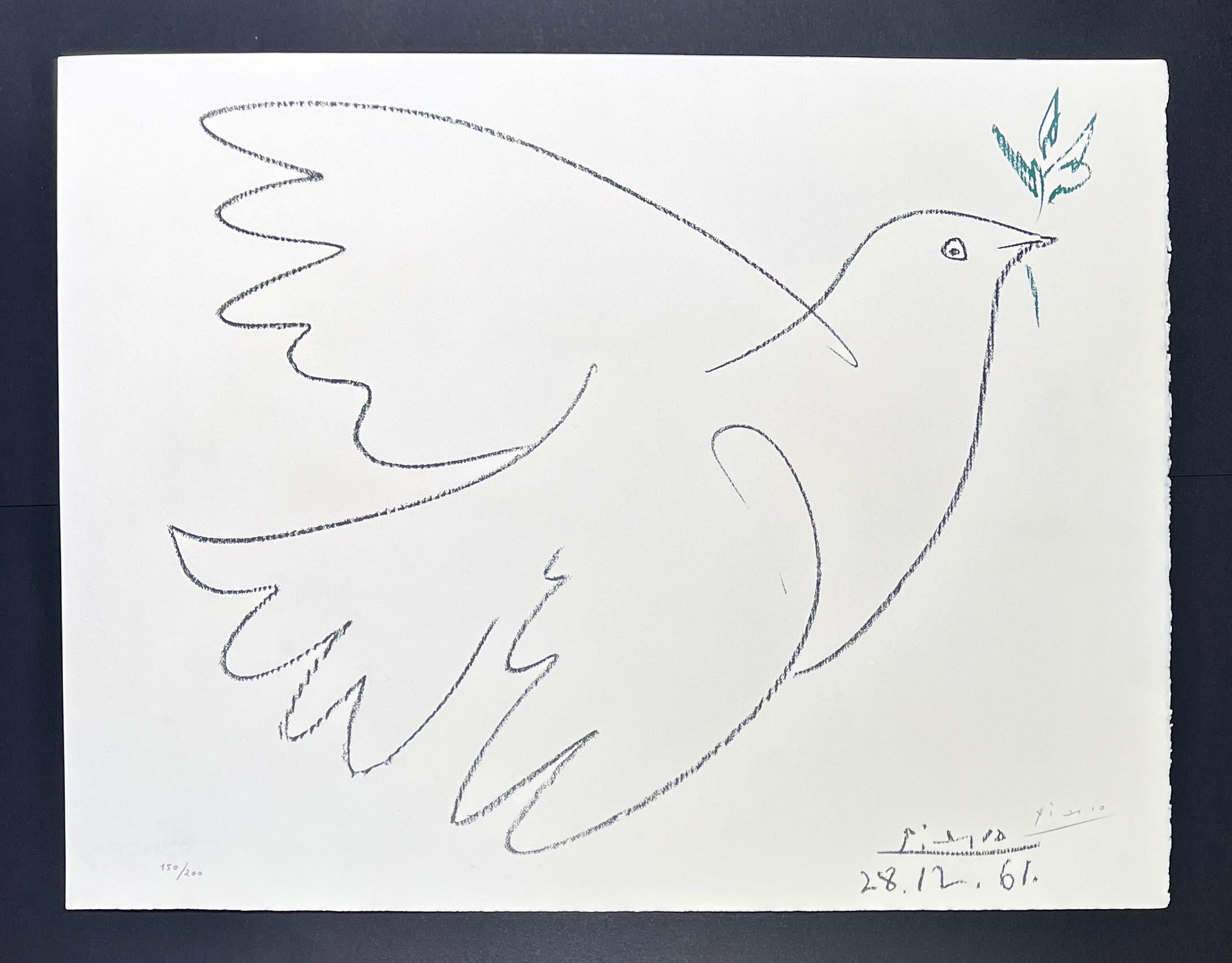 Pablo Picasso (1881 - 1973) -  colombe  - Color lithograph on Arches paper 1