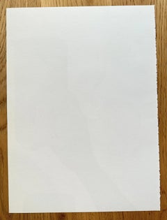 Pablo Picasso -- Bull and Picador