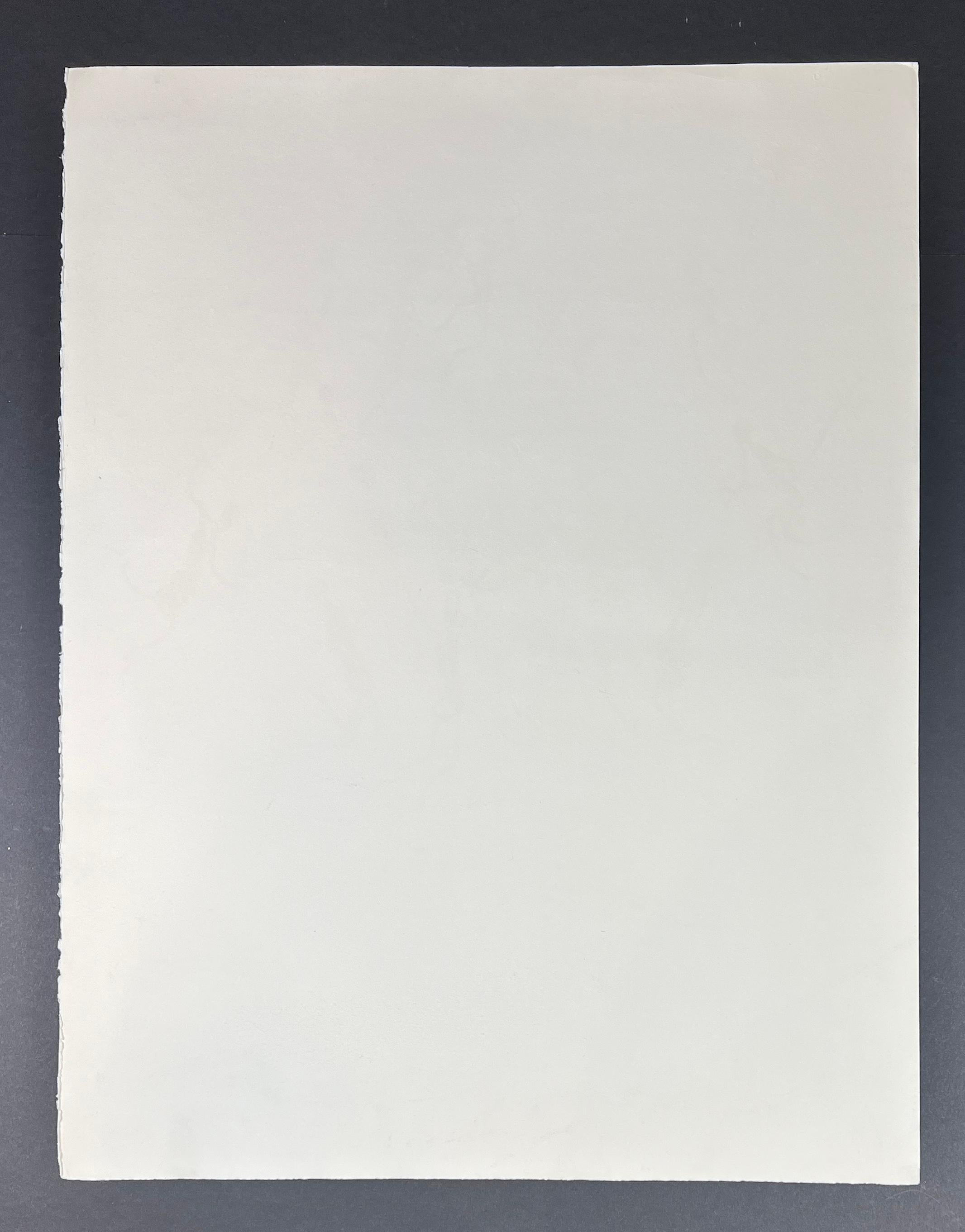 Pablo Picasso - La ronde de la jeunesse - litografia firmata a mano su Arches - 1961 4