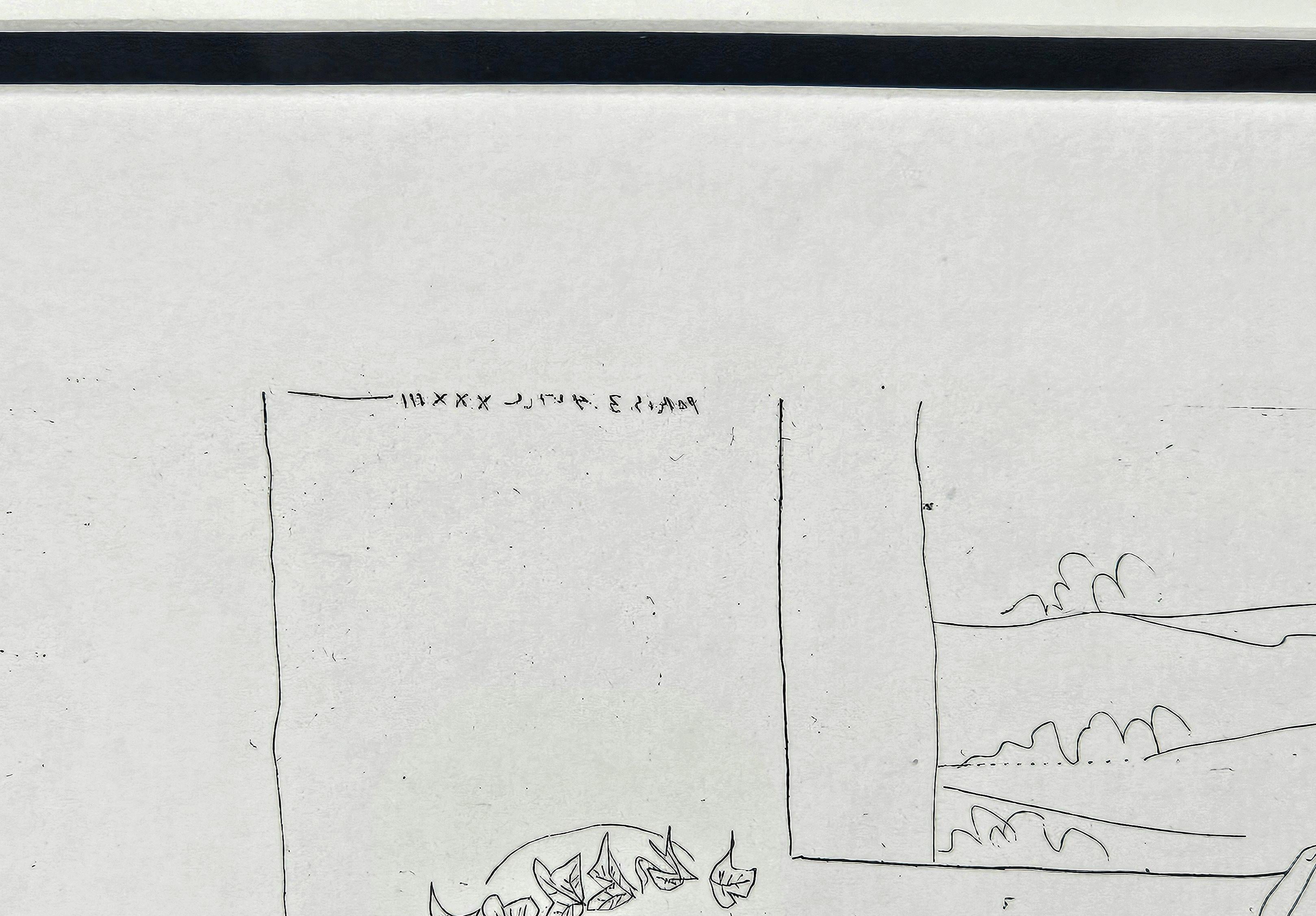 Lithographie de Pablo Picasso Suite Vollard, édition limitée avec cachet du musée en vente 6