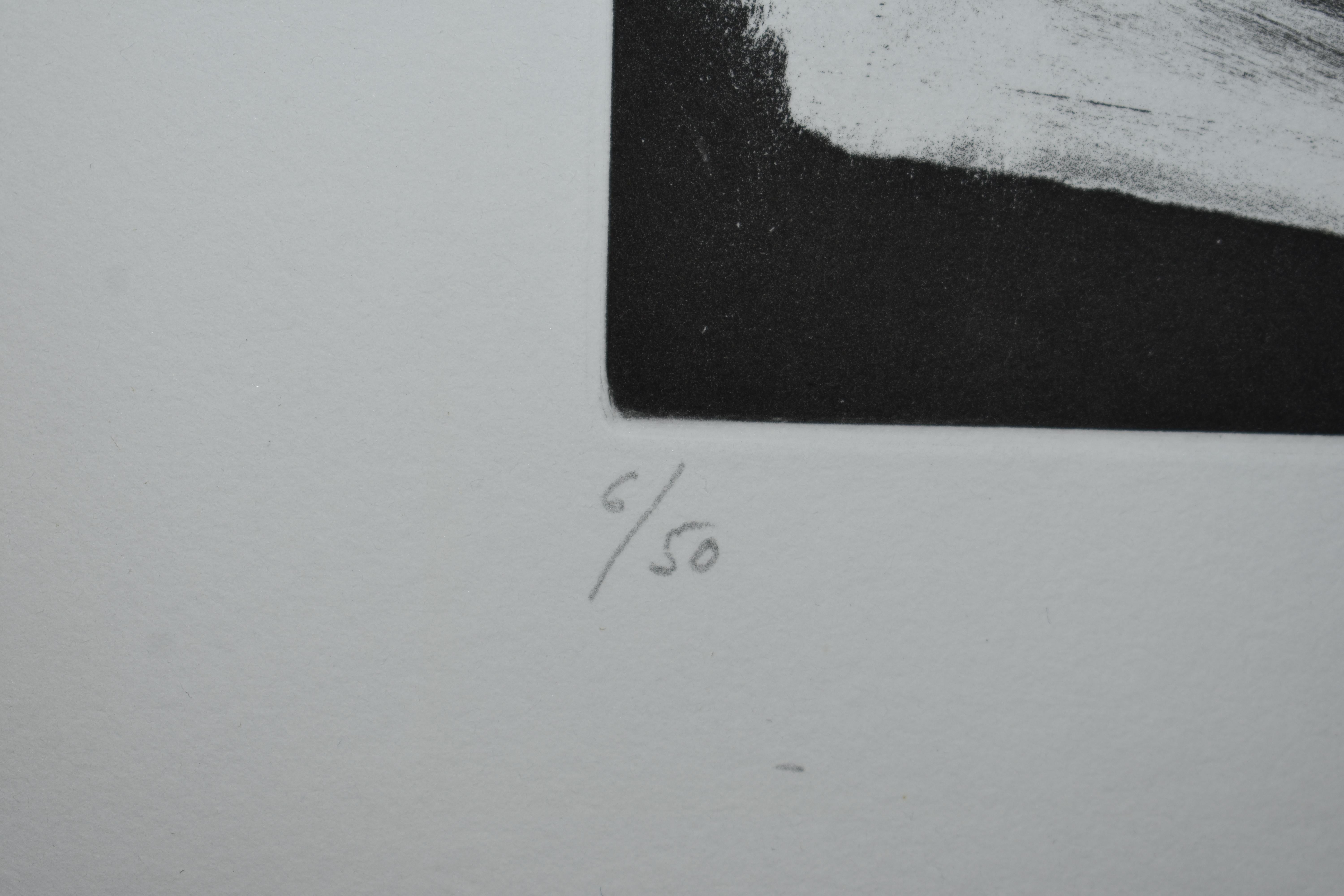 Künstler: Pablo Picasso 
Ätzung:: Aquatinta und Kaltnadelradierung 
Titel: Peintre et Modle au Collier 
Jahr: 1966 
Auflage: 50 
Gerahmte Größe: 28 Zoll x 32 1/2 Zoll 
Größe des Bildes: 10 5/8 Zoll x 14 7/8 Zoll 
Blattgröße: 16 5/8