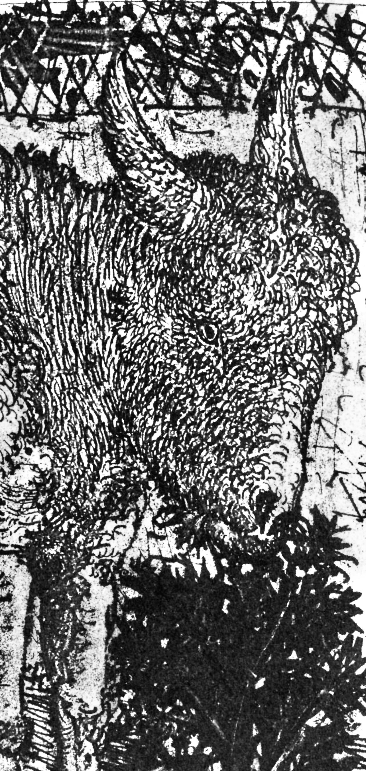 Picasso, Anes, sur une planche gravée (Cramer 84 ; Johnson/Stein 77) (d'après) - Noir Abstract Print par Pablo Picasso