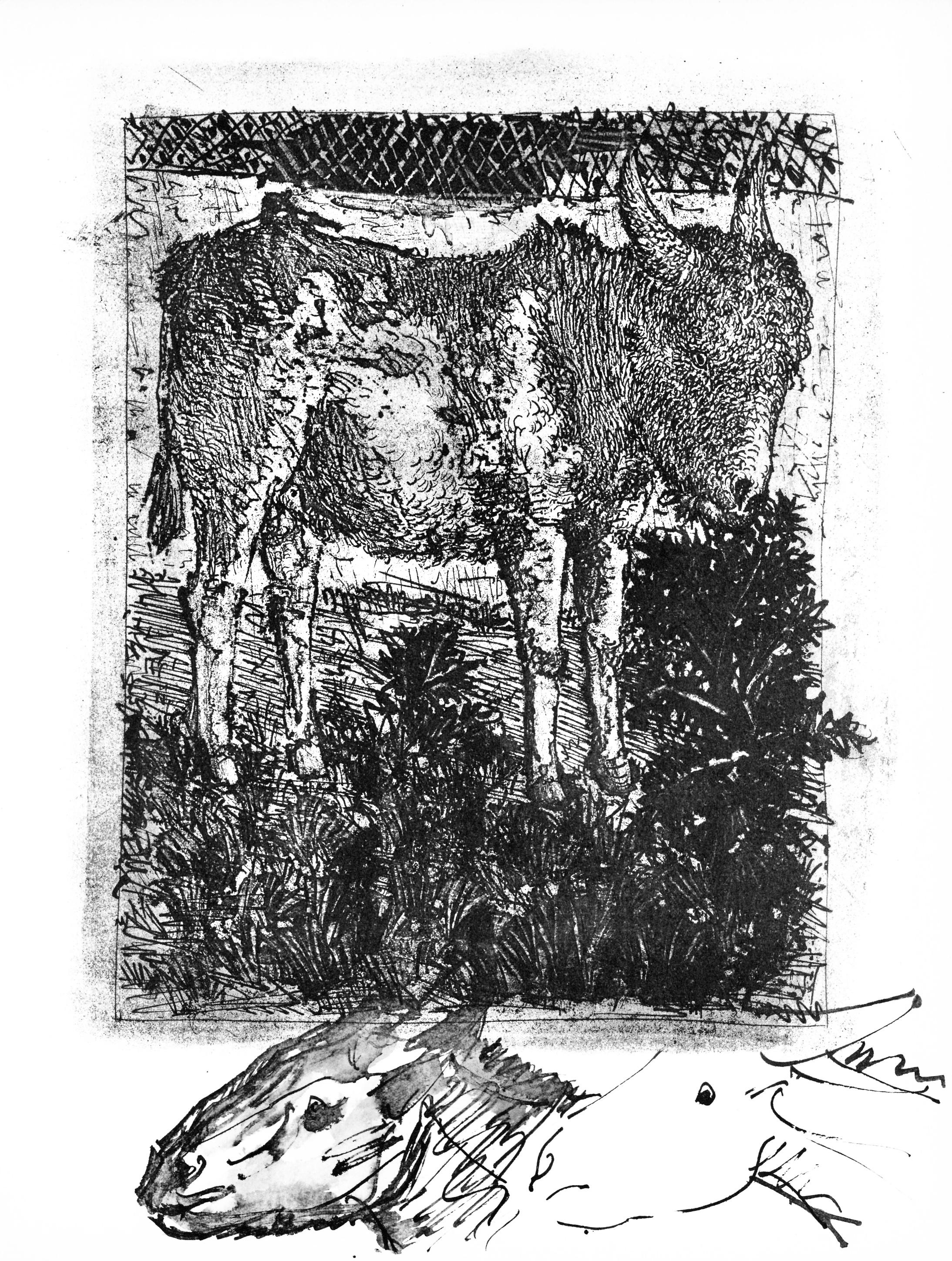 Abstract Print Pablo Picasso - Picasso, Anes, sur une planche gravée (Cramer 84 ; Johnson/Stein 77) (d'après)