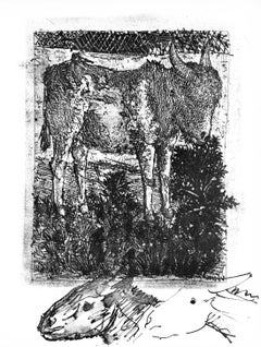 Picasso, Anes, sur une planche gravée (Cramer 84 ; Johnson/Stein 77) (d'après)