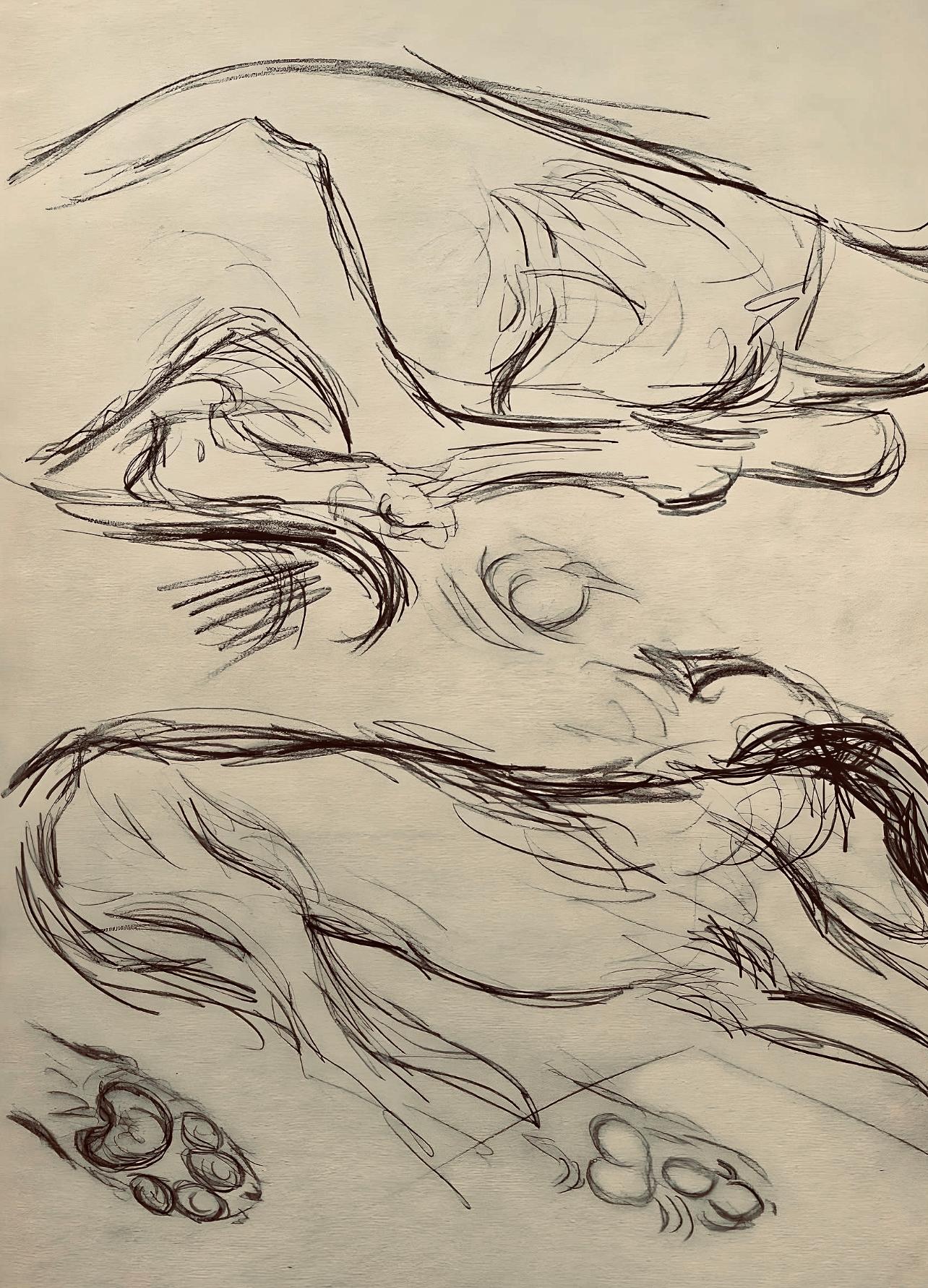 Figurative Print Pablo Picasso - Picasso, Composition, Carnet de dessins de Picasso, Cahiers d'Art (d'après)