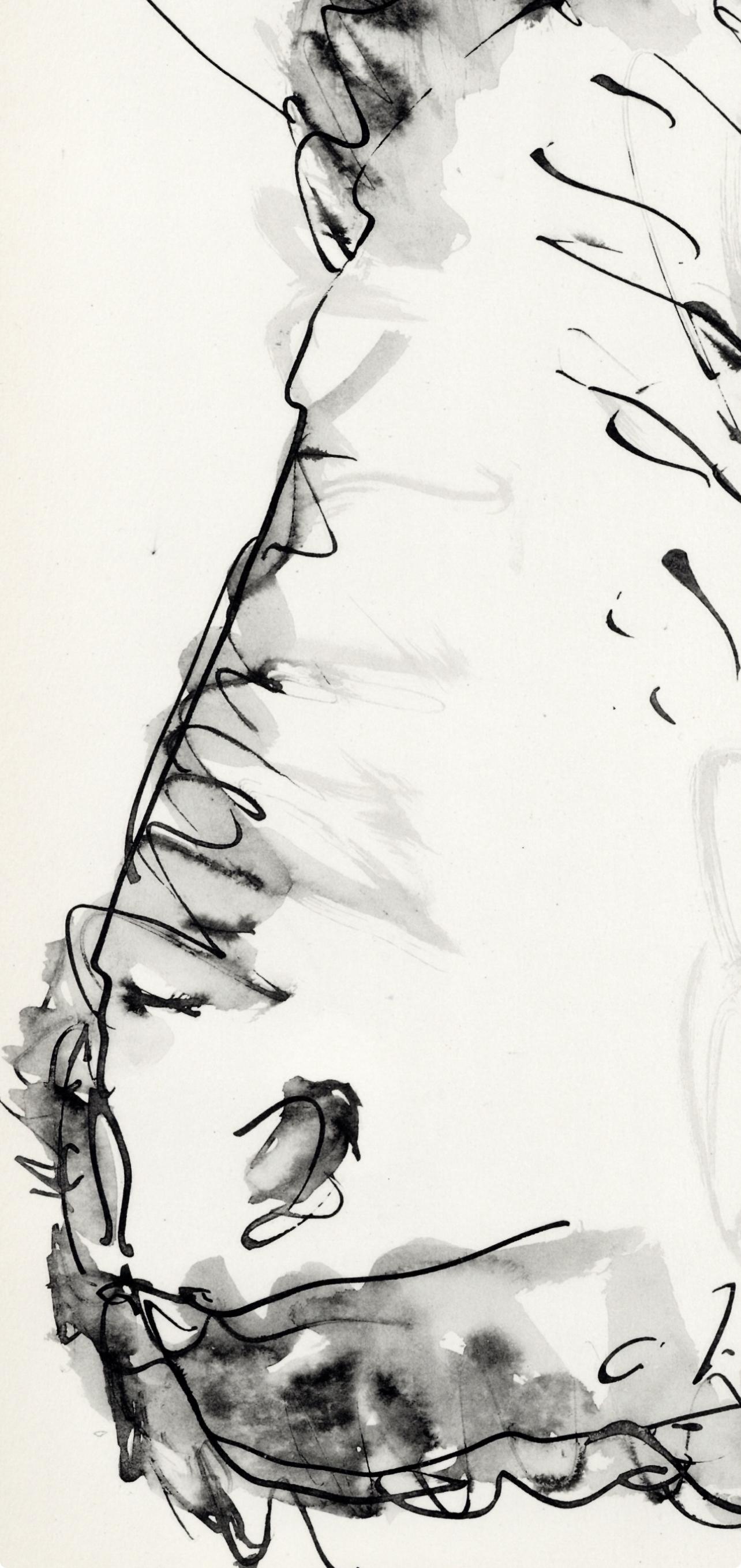 Picasso, Composition (Cramer 84), Picasso en marge du Buffon (after) - Gray Landscape Print by Pablo Picasso