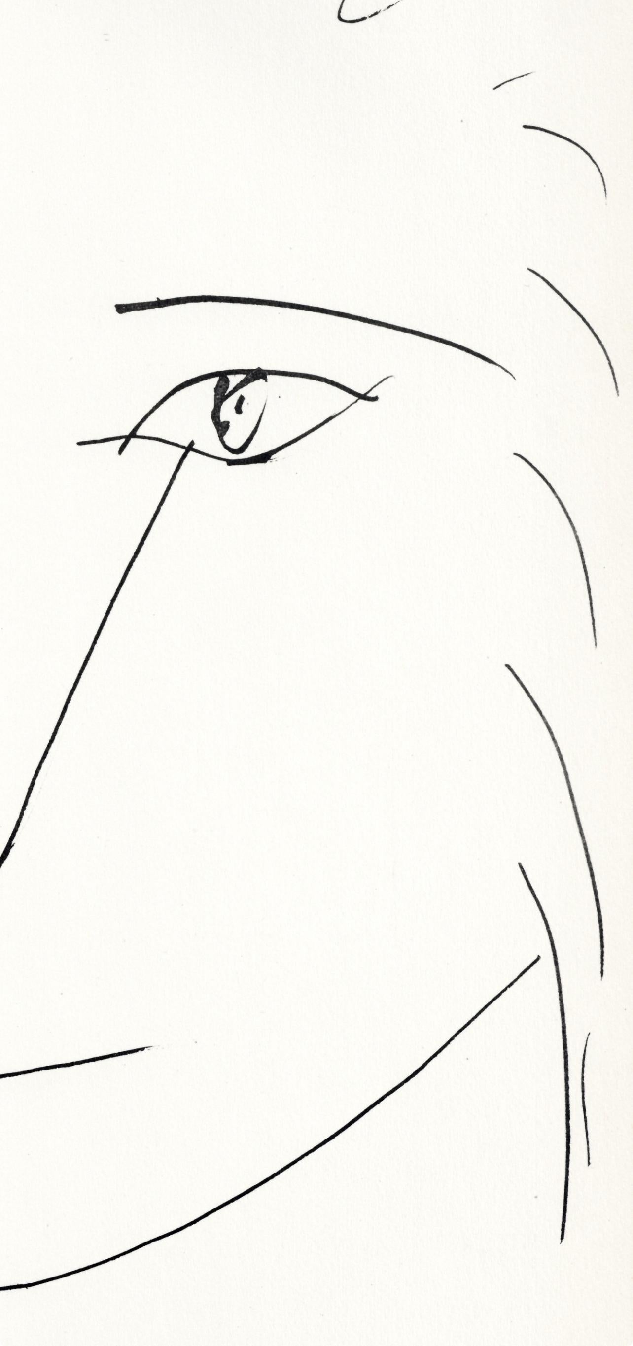 Picasso, Composition (Cramer 84), Picasso en marge du Buffon (after) For Sale 1