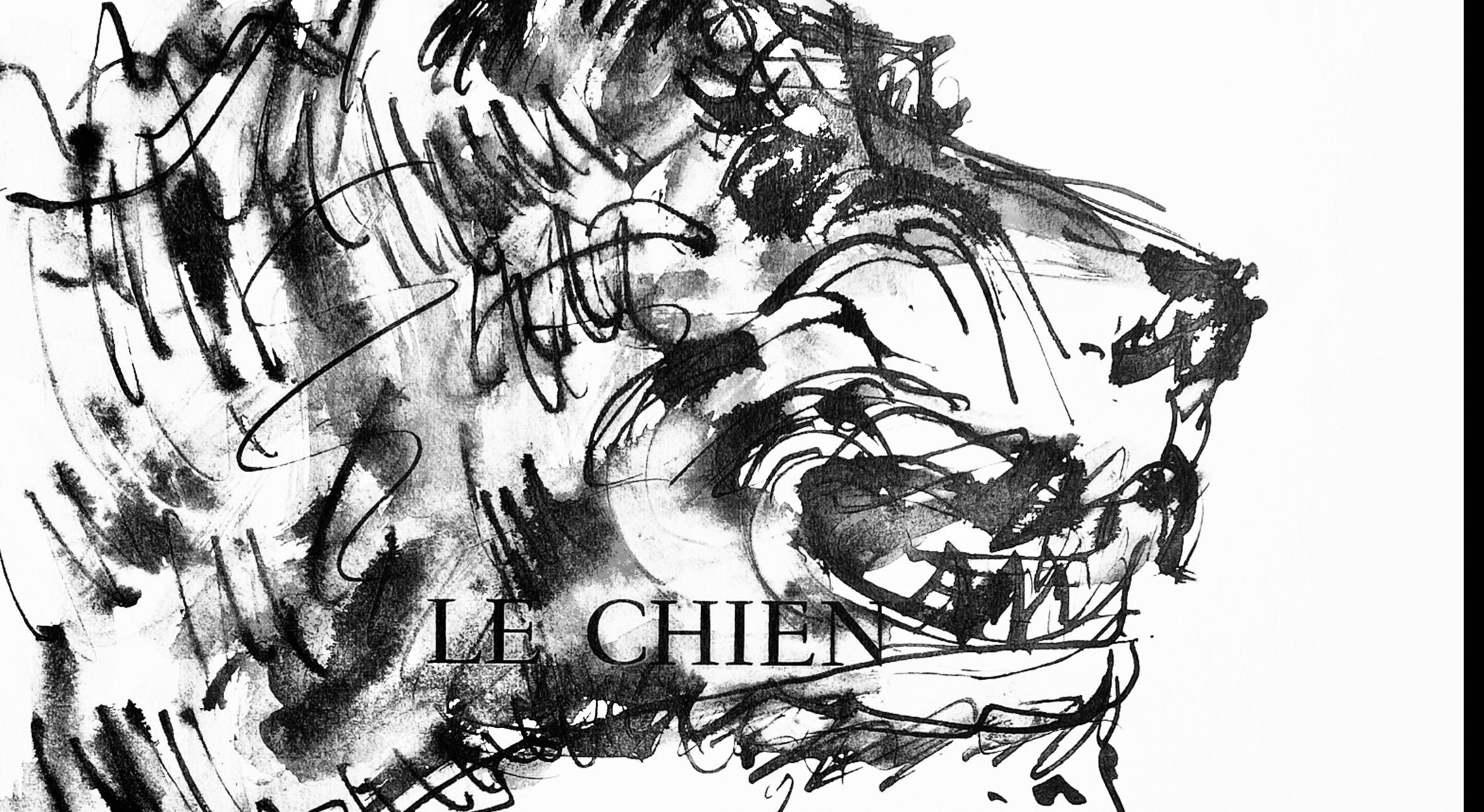 Picasso, Deux têtes de chiens (Cramer 84 ; Johnson/Stein 77) (d'après) - Print de Pablo Picasso