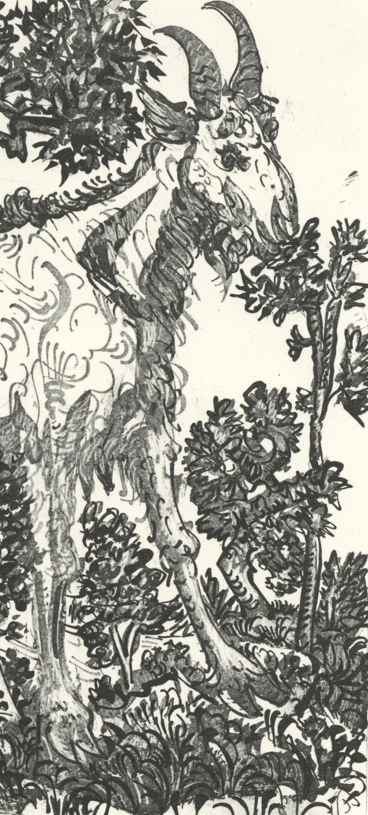 Picasso, La Chèvre, Histoire naturelle (dopo) - Print di Pablo Picasso