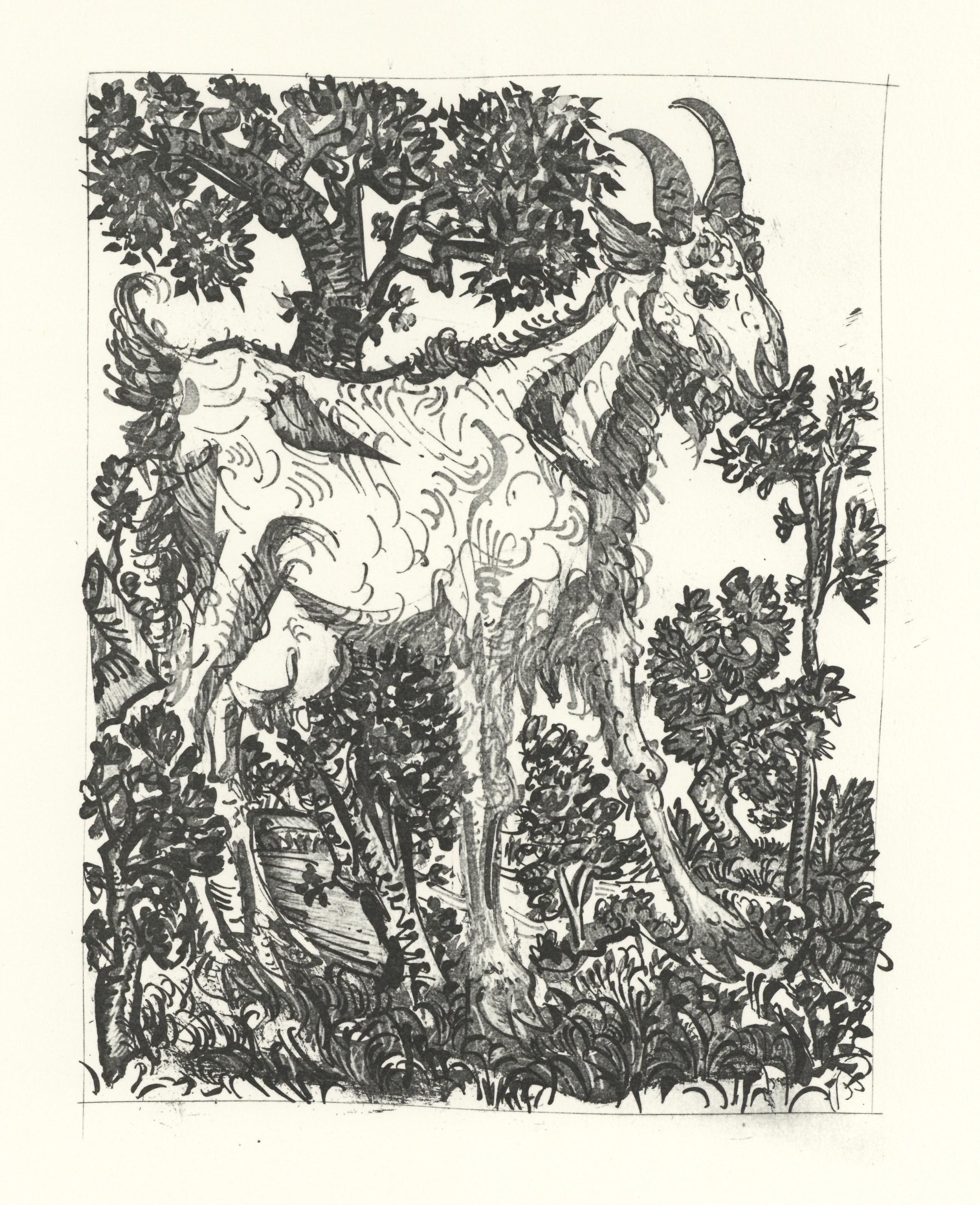 Litografia su carta papier bouffant des Papeteries de Casteljoux. Non firmato e non numerato, come da edizione. Buone condizioni. Note: Dal folio, Eaux-fortes originale pour des textes de Buffon (Histoire naturelle), 1970. Pubblicato da Martin