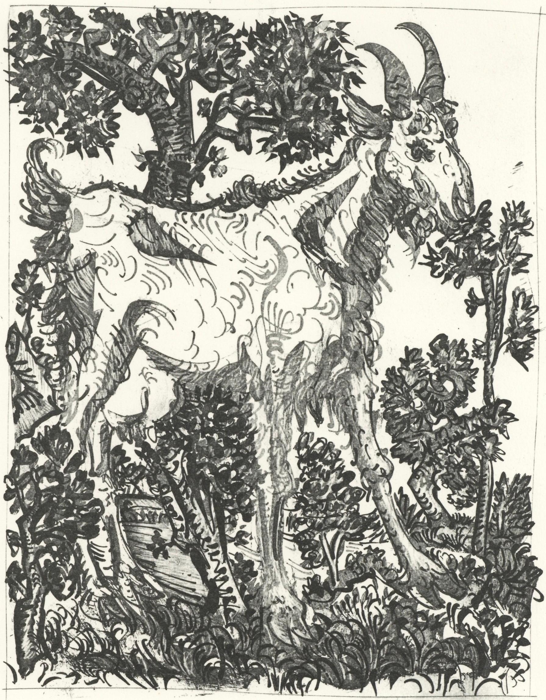 Picasso, La Chèvre, Histoire naturelle (d'après)