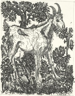 Picasso, La Chèvre, Histoire naturelle (d'après)