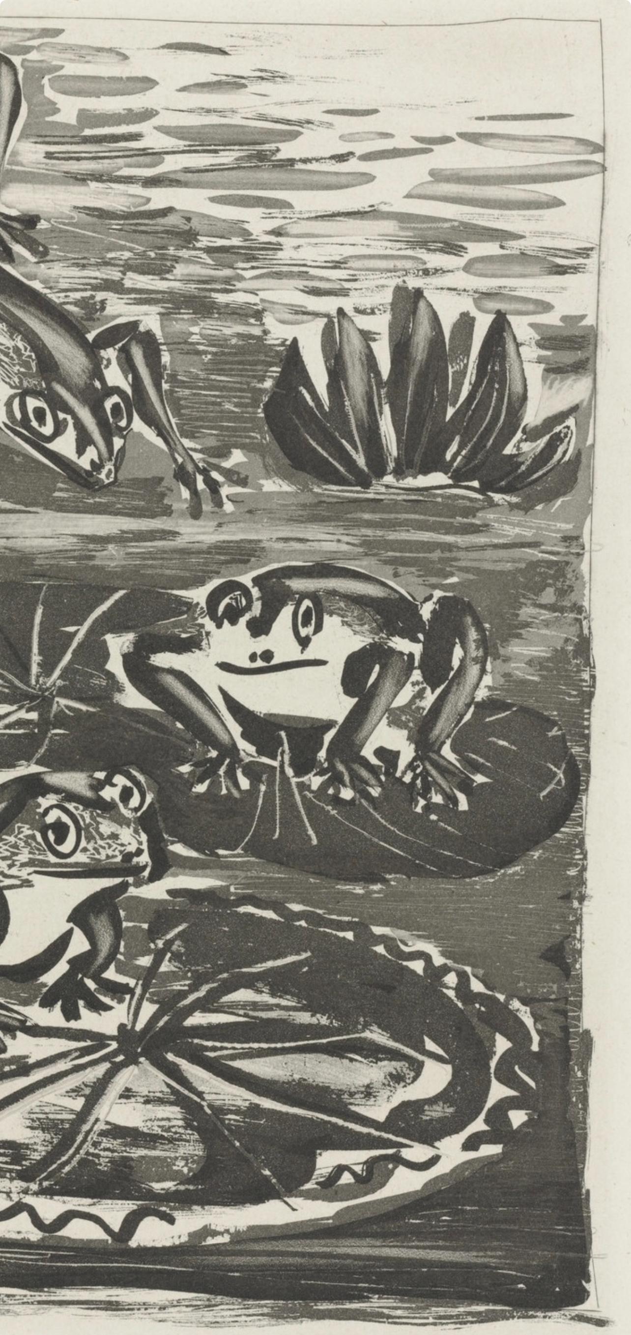 Picasso, La Grenouille, Histoire naturelle (after) - Print by Pablo Picasso