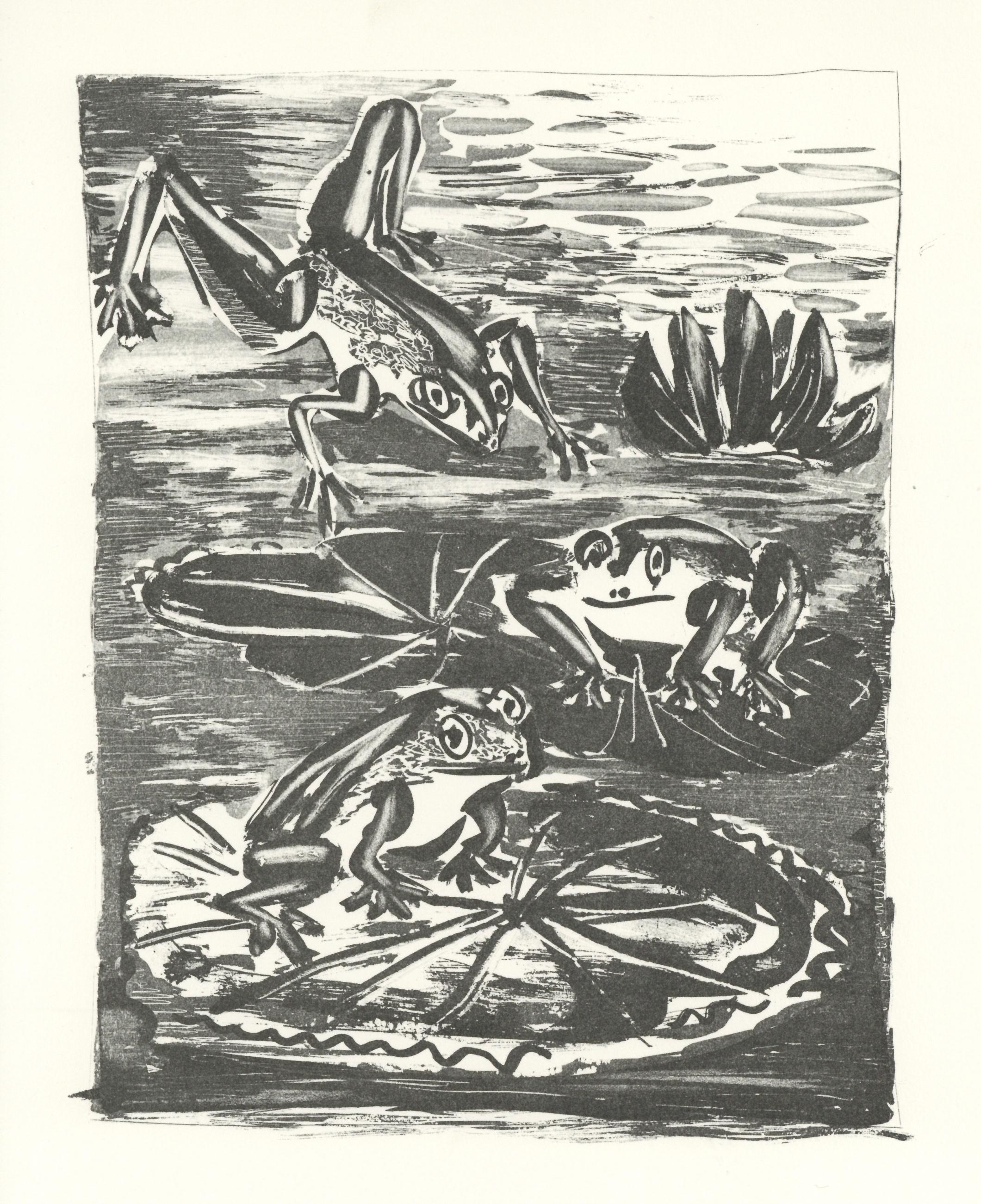 Litografía sobre papel bouffant des Papeteries de Casteljoux. Sin firmar y sin numerar, tal como se publicó. Buen estado. Notas: Del folio, Eaux-fortes originale pour des textes de Buffon (Histoire naturelle), 1970. Publicado por Martin Fabiani,