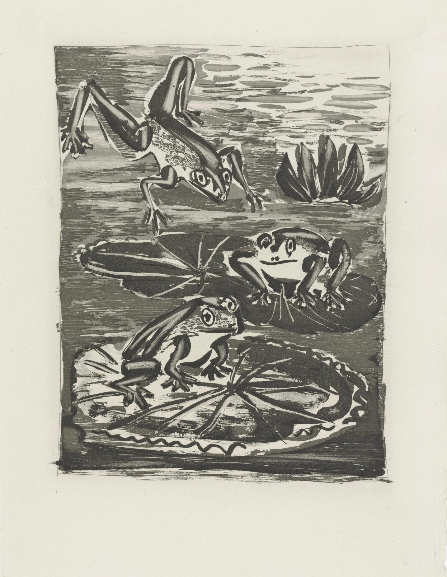 Picasso, La Grenouille, Histoire naturelle (after) For Sale 3