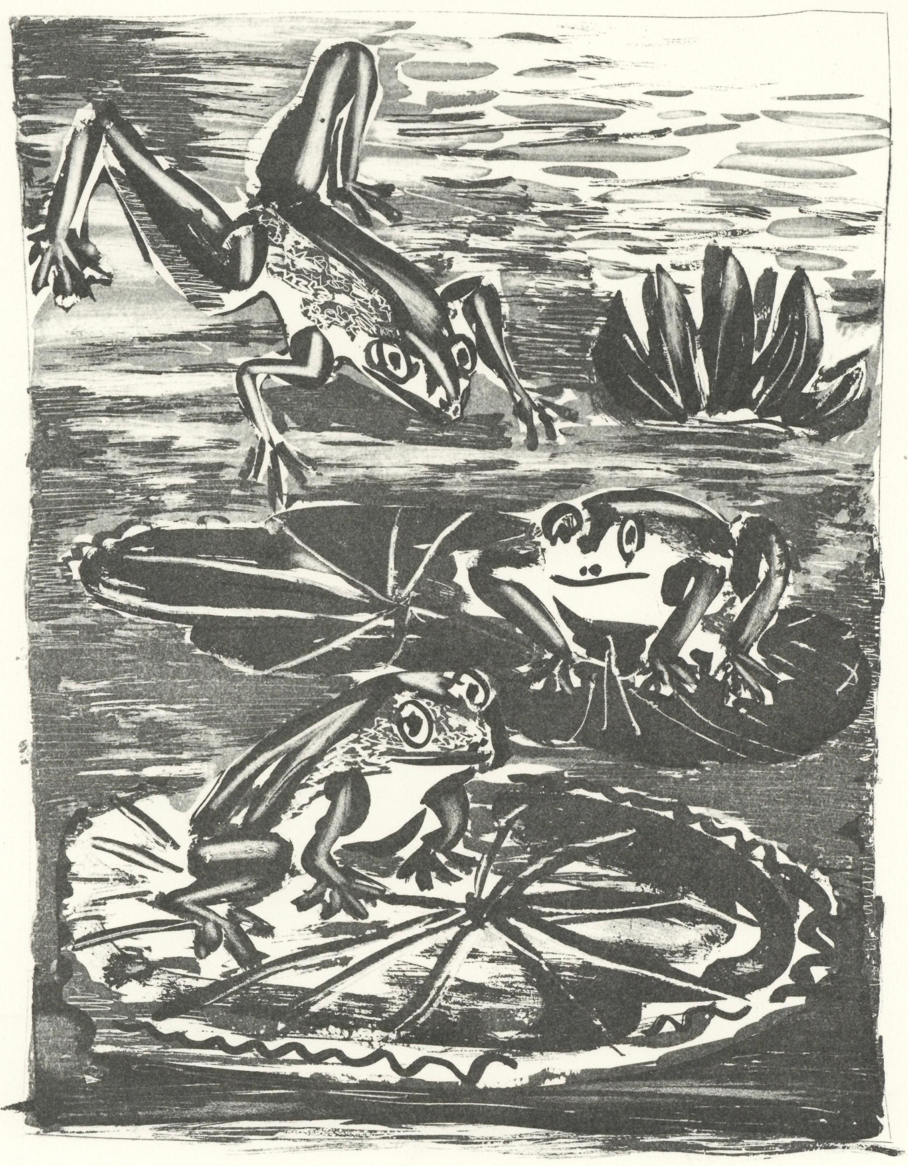 Picasso, La Grenouille, Histoire naturelle (nach)
