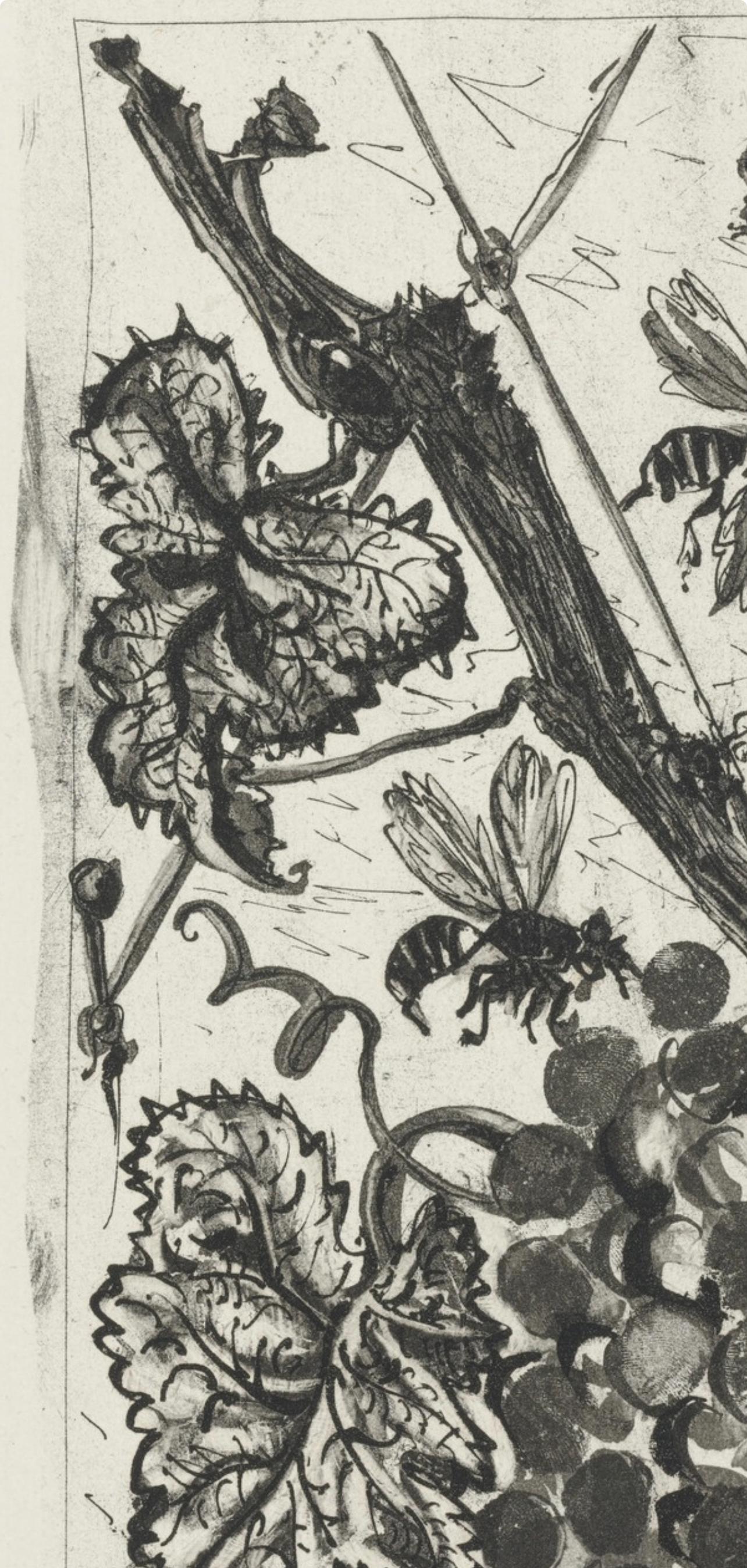 Picasso, La Guêpe, Histoire naturelle (after) - Gray Landscape Print by Pablo Picasso