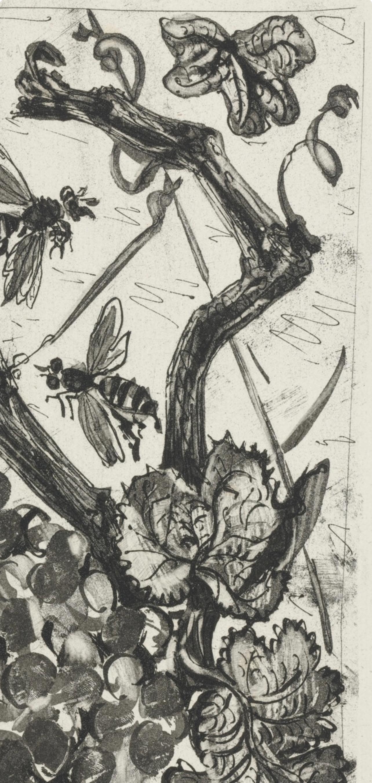 Lithograph on papier bouffant des Papeteries de Casteljoux paper. Unsigned and unnumbered, as issued. Good condition. Notes: From the folio, Eaux-fortes originale pour des textes de Buffon (Histoire naturelle), 1970. Published by Martin Fabiani,