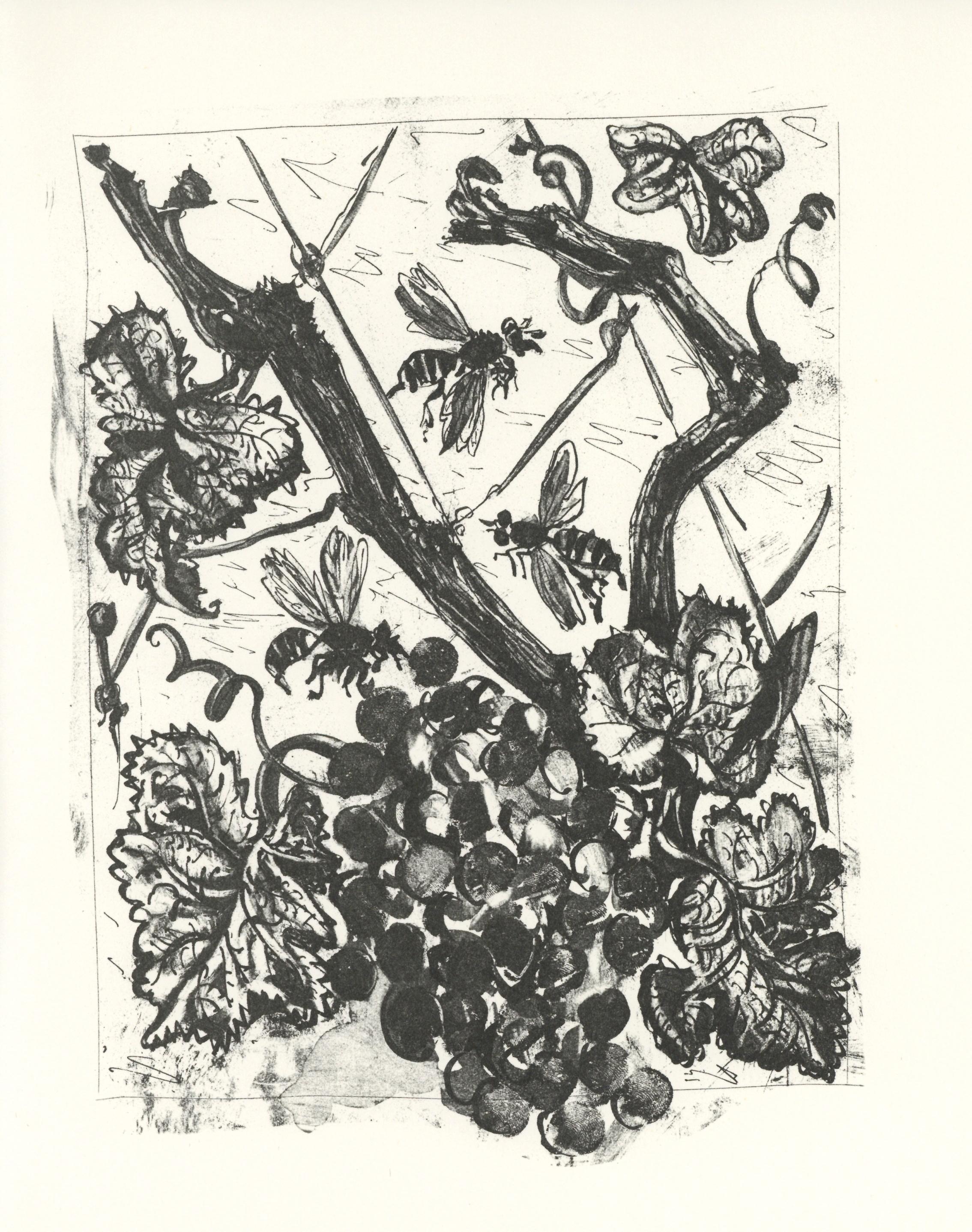 Lithographie sur papier bouffant des Papeteries de Casteljoux. Non signé et non numéroté, tel que publié. Bon état. Notes : D'après l'in-folio, Eaux-fortes originales pour des textes de Buffon (Histoire naturelle), 1970. Publié par Martin Fabiani,
