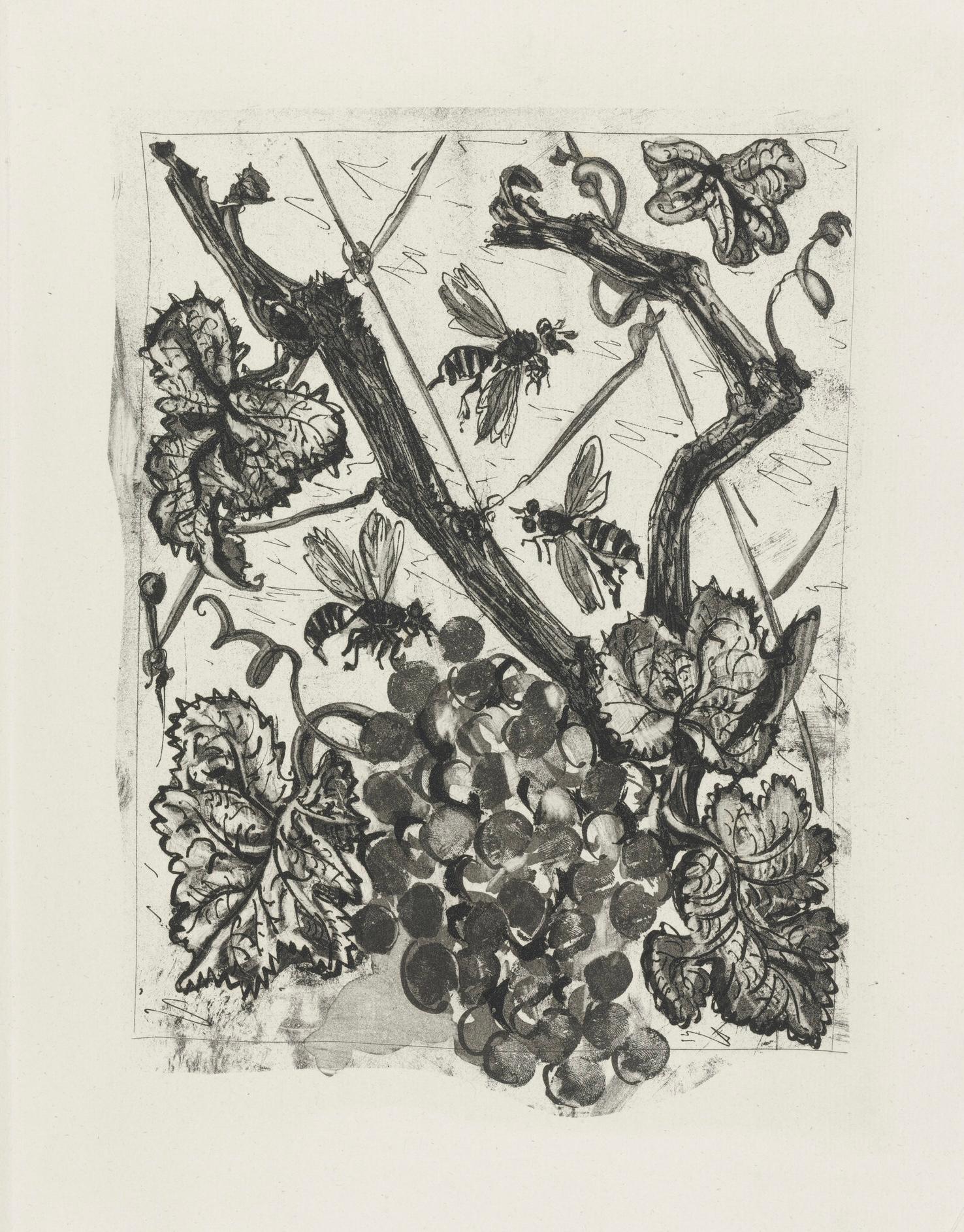 Picasso, La Guêpe, Histoire naturelle (after) For Sale 2