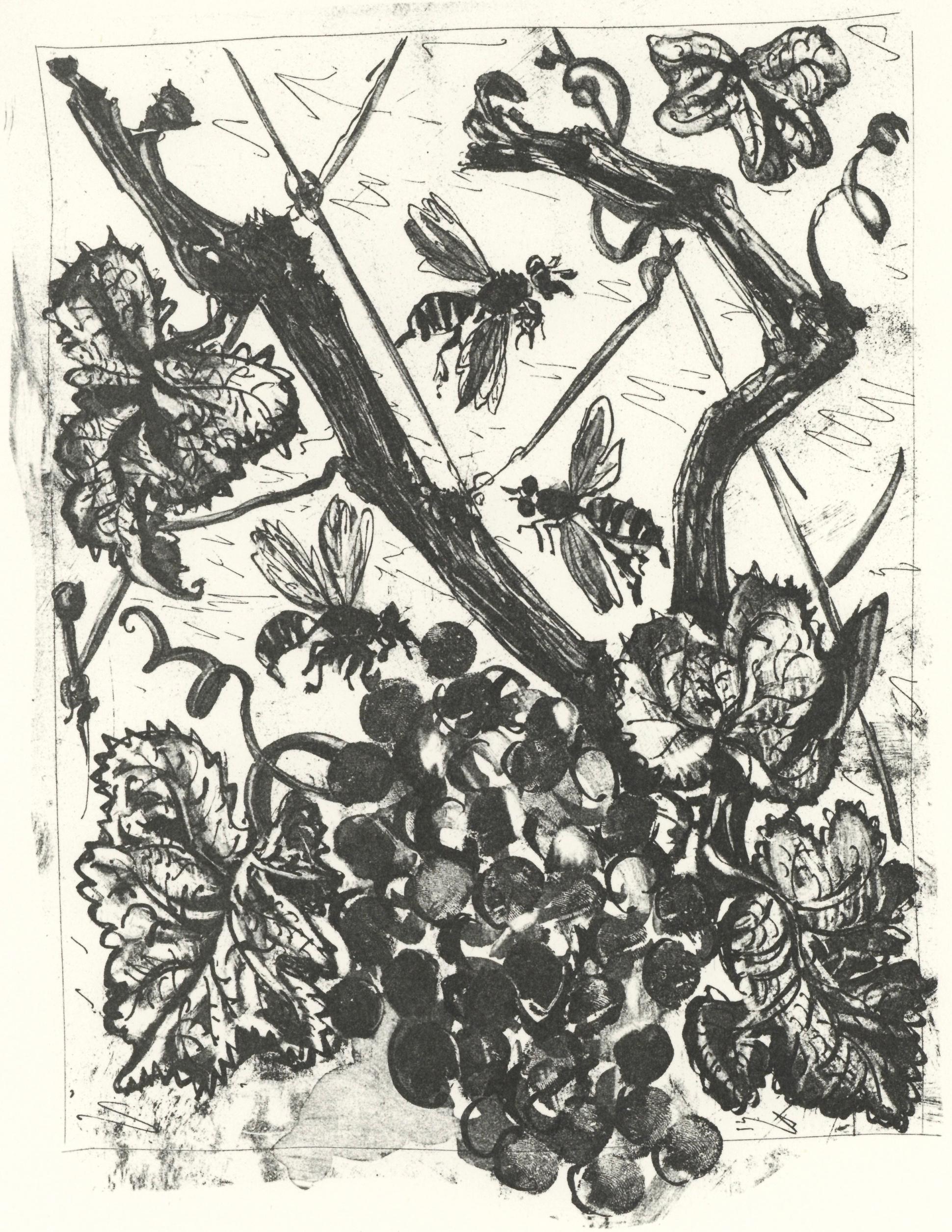 Landscape Print Pablo Picasso - Picasso, La Guêpe, Histoire naturelle (d'après)