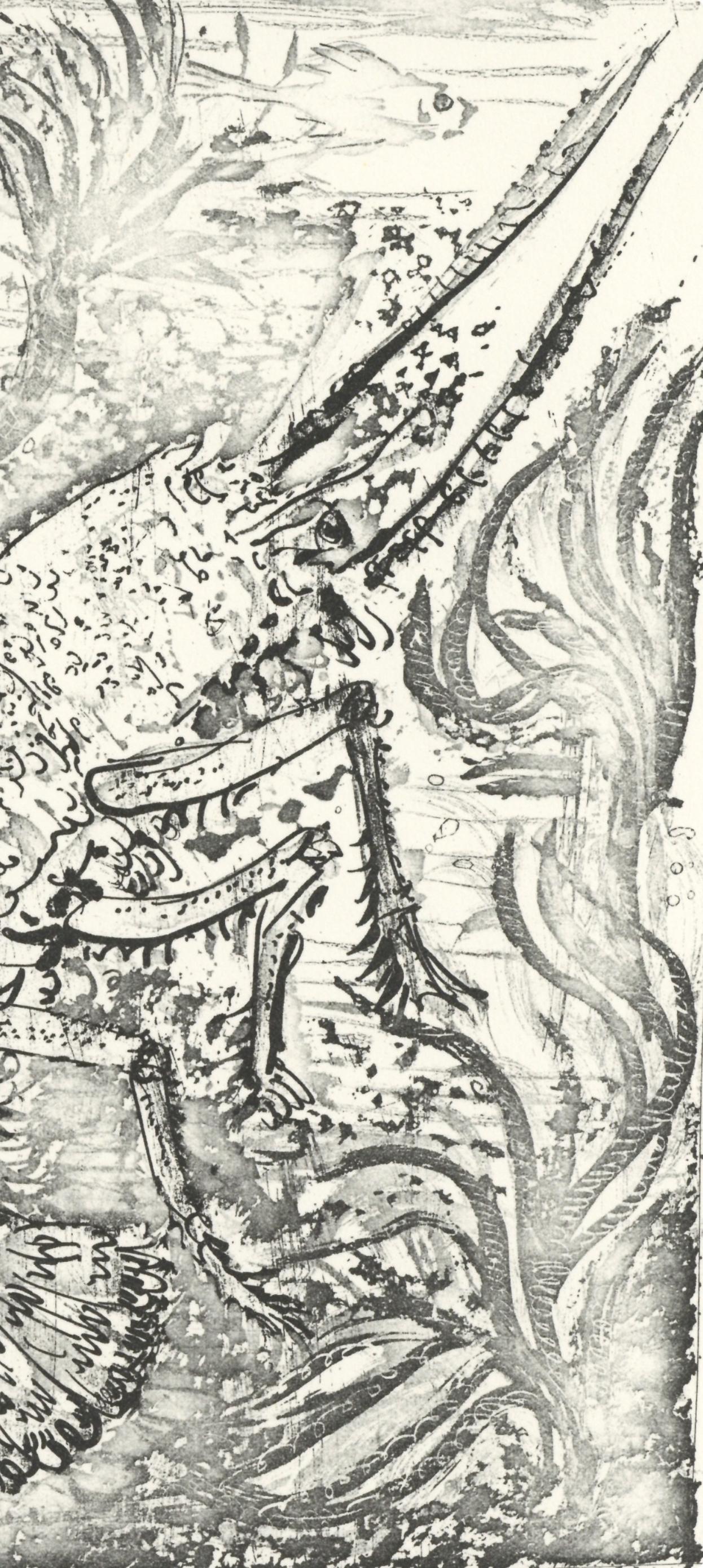 Picasso, La Langouste, Histoire naturelle (nach) – Print von Pablo Picasso