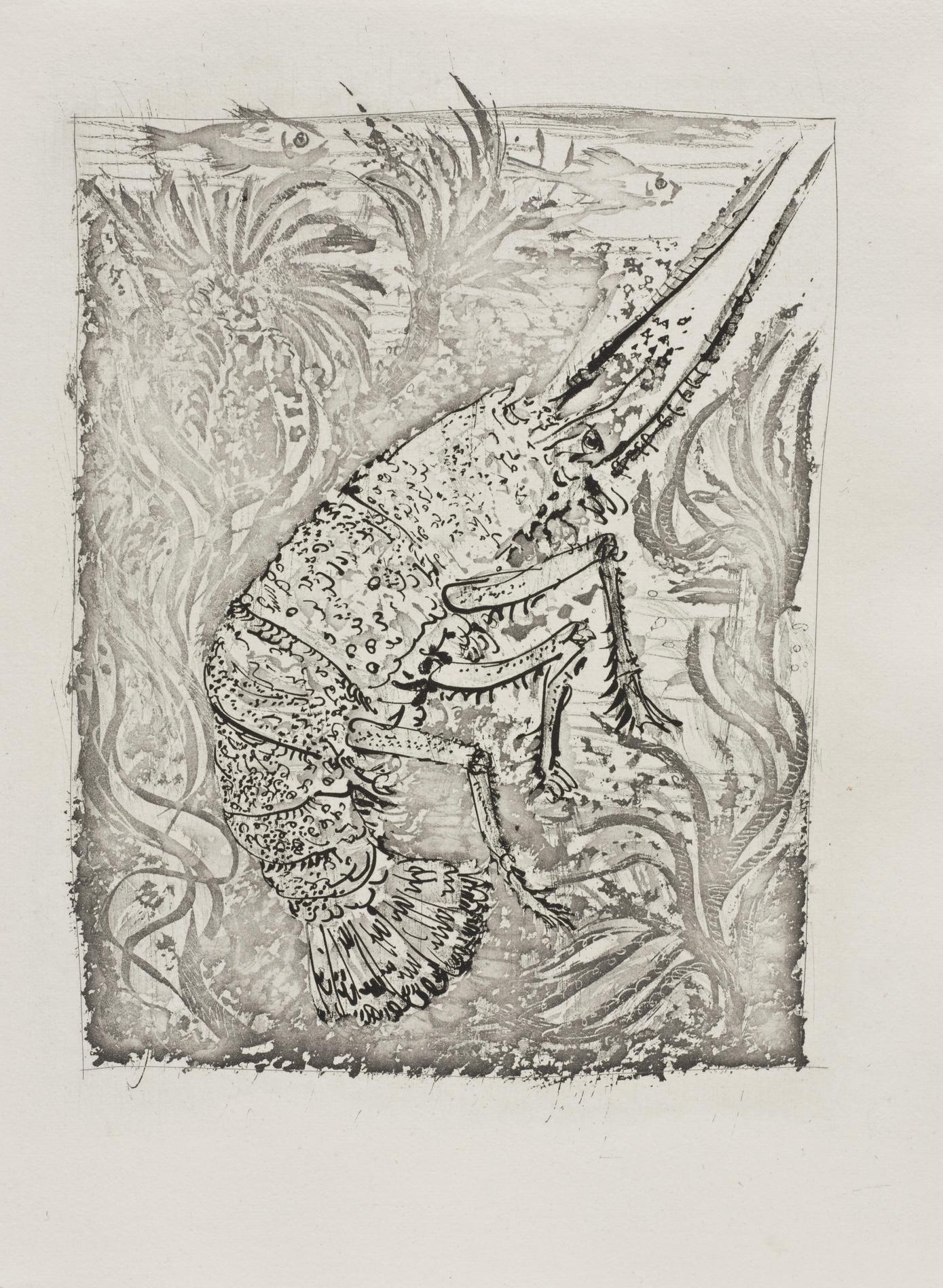 Lithographie sur papier bouffant des Papeteries de Casteljoux. Non signé et non numéroté, tel que publié. Bon état. Notes : D'après l'in-folio, Eaux-fortes originales pour des textes de Buffon (Histoire naturelle), 1970. Publié par Martin Fabiani,