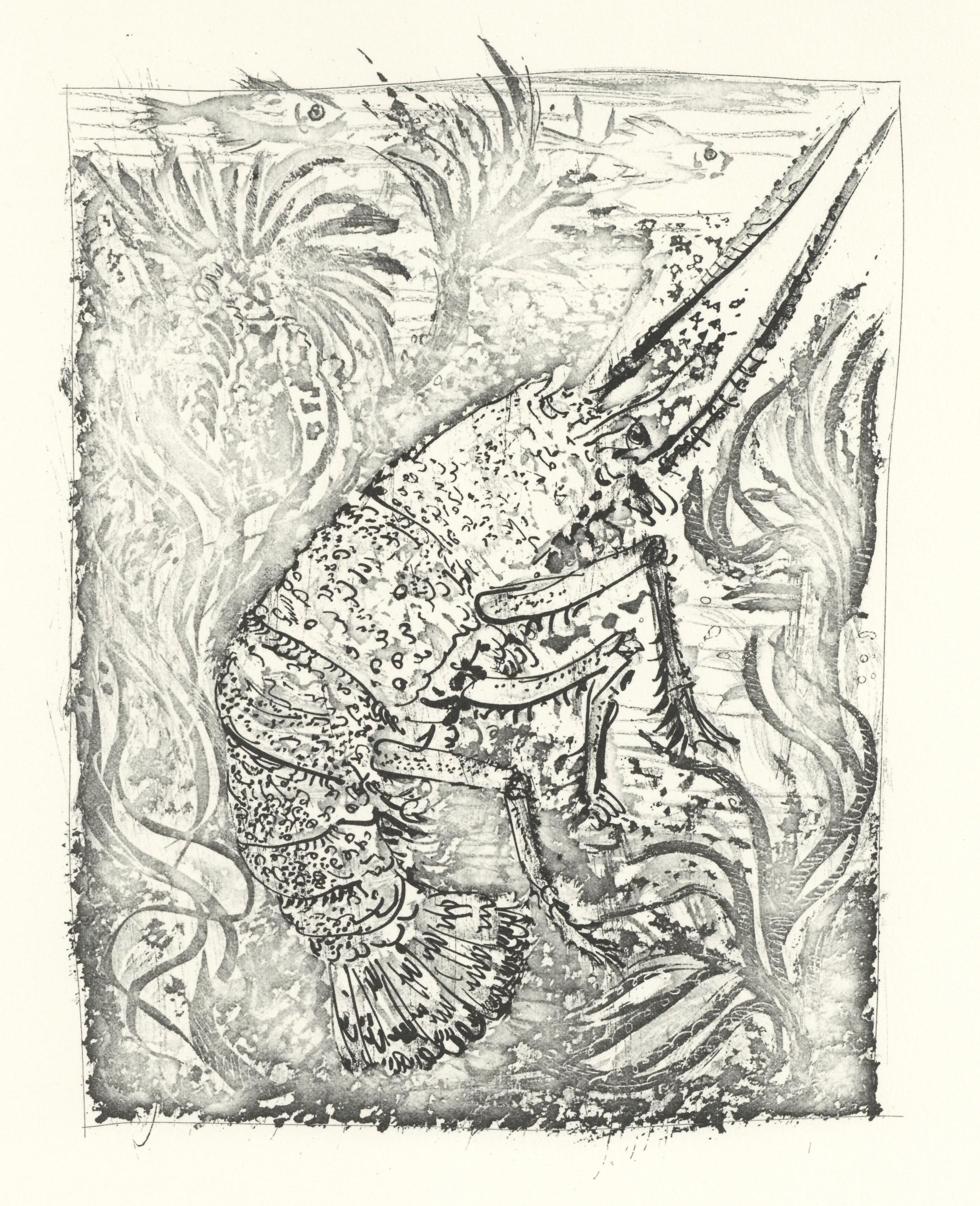 Lithographie auf Papier bouffant des Papeteries de Casteljoux. Unsigniert und nicht nummeriert, wie ausgegeben. Guter Zustand. Anmerkungen: Aus dem Folio, Eaux-fortes originale pour des textes de Buffon (Histoire naturelle), 1970. Herausgegeben von